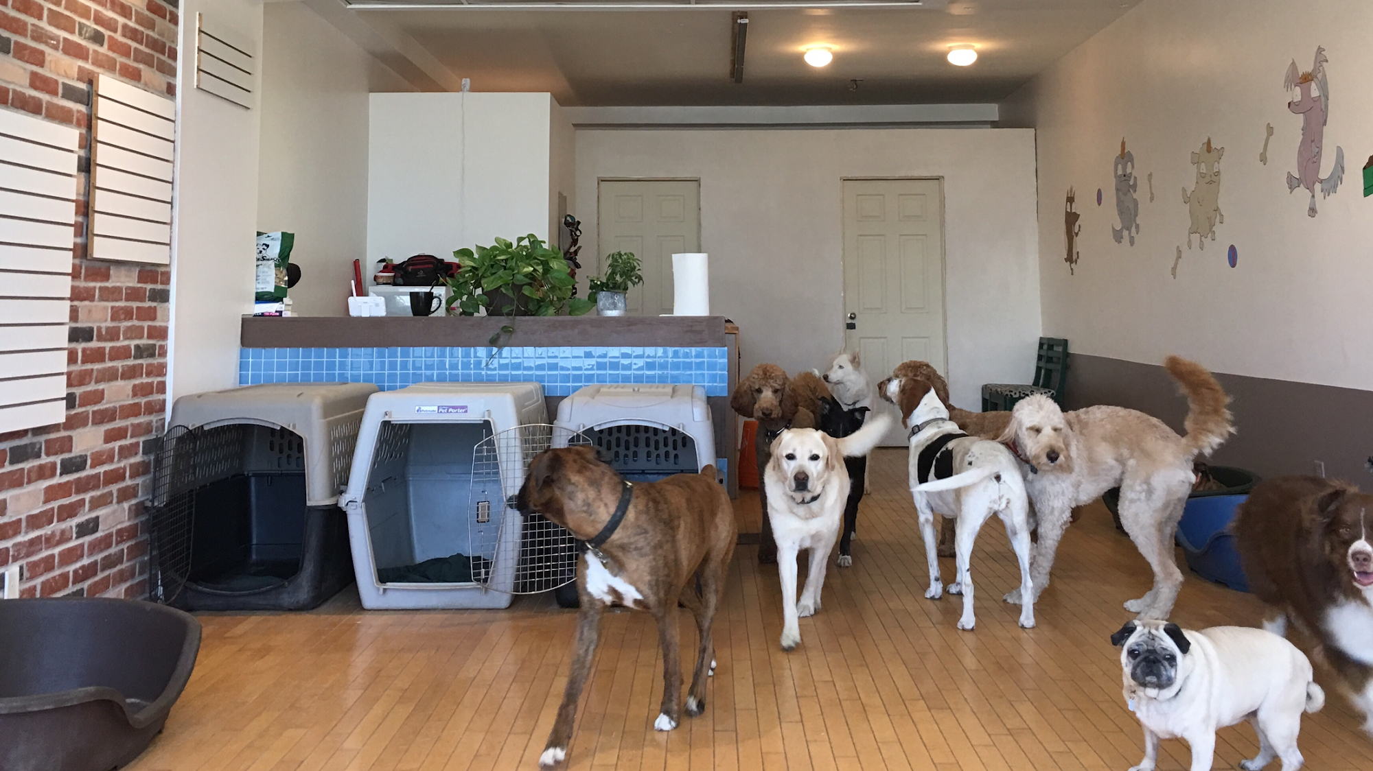 Barkingham Palace Toronto