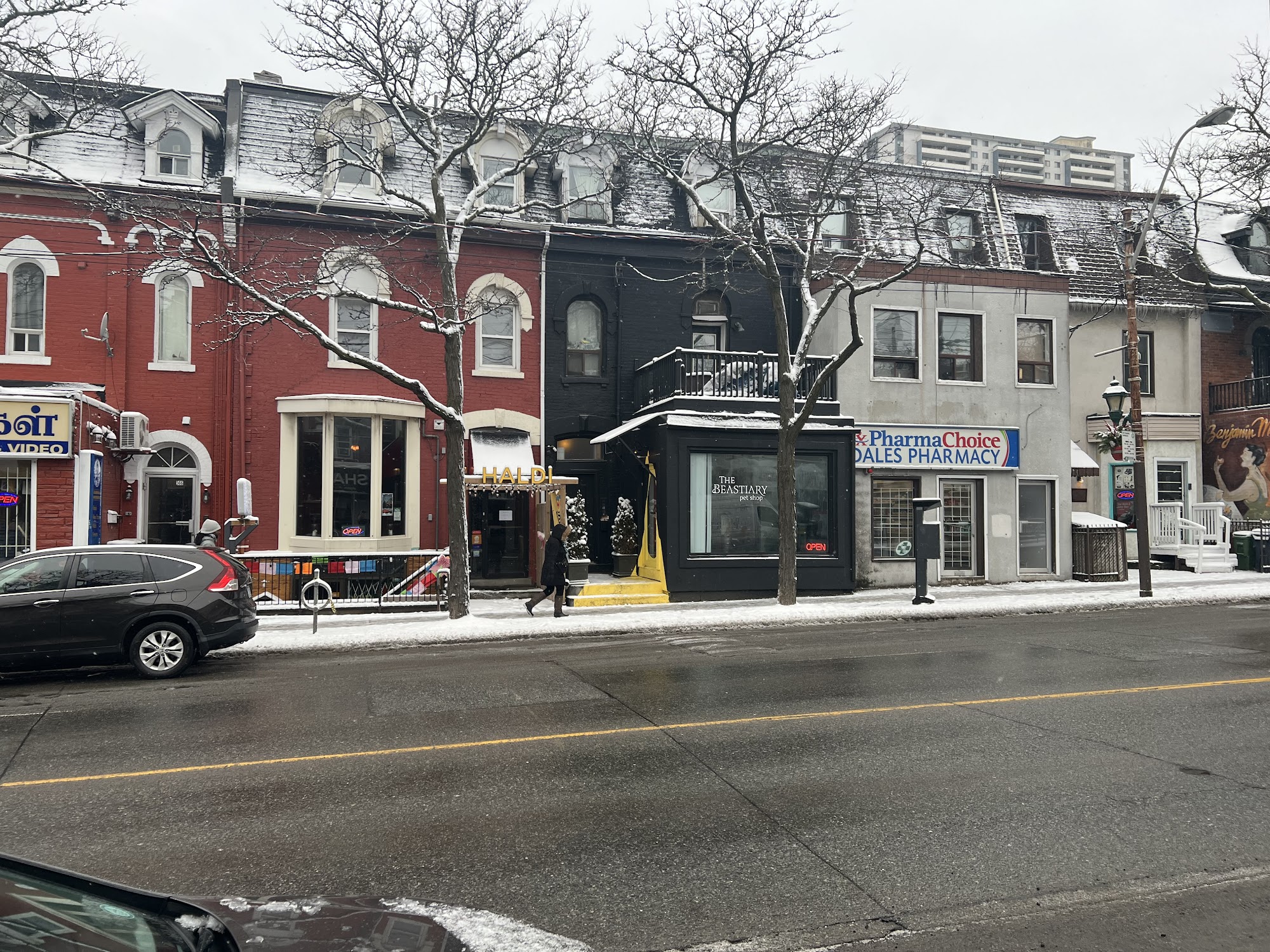 The Beastiary Pet Shop Toronto