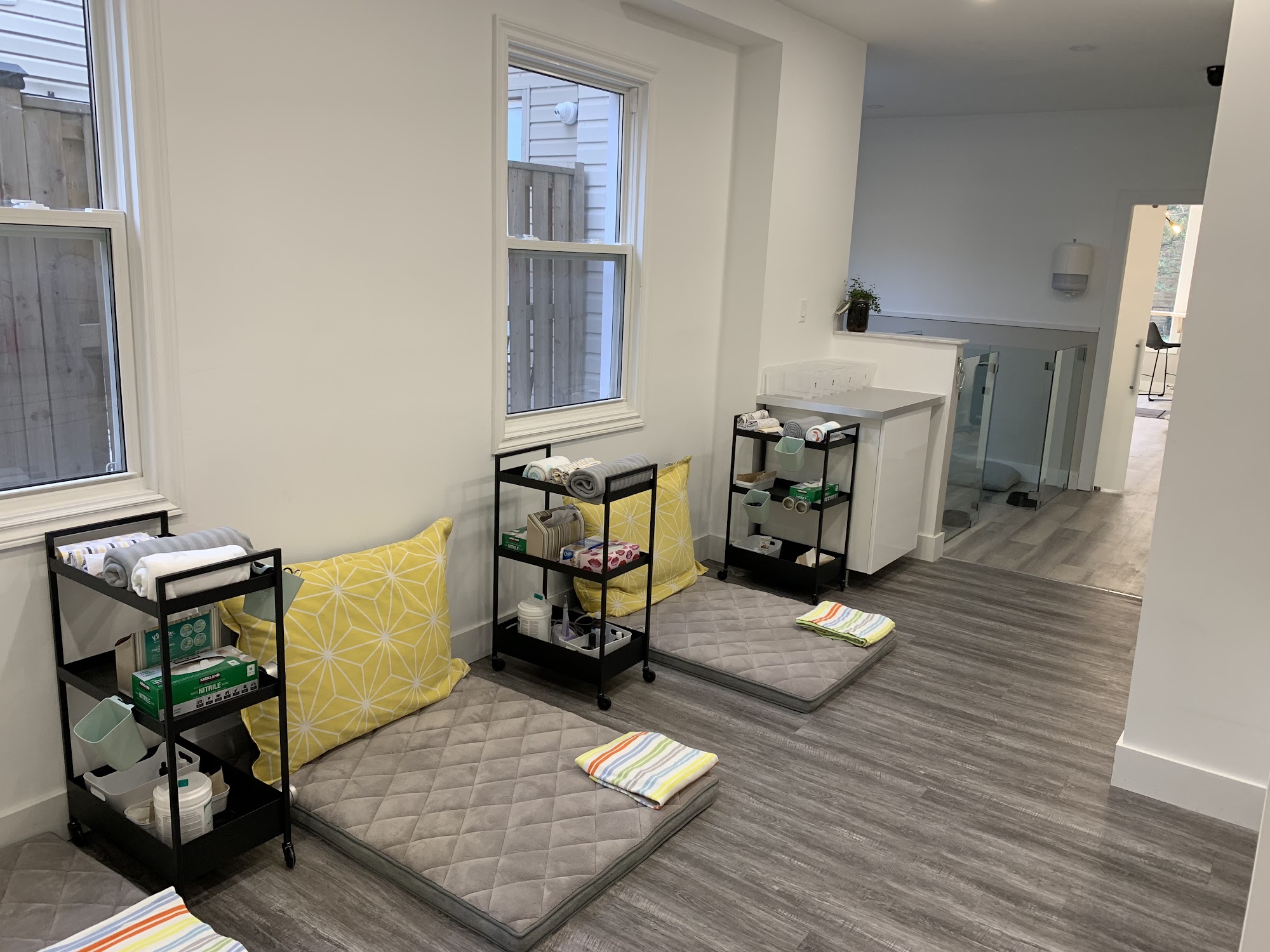 Pearly Whites For Pets Toronto