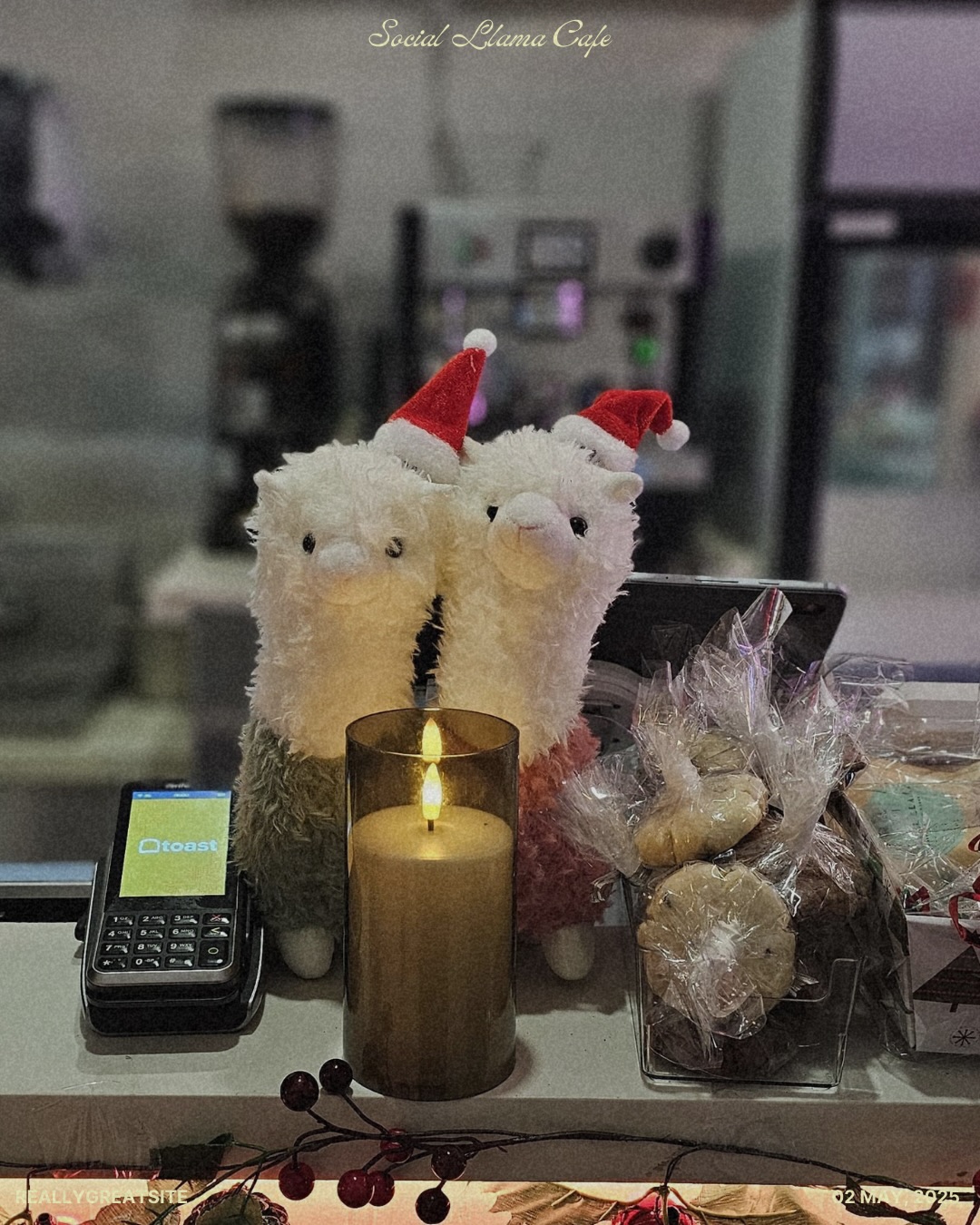 Social Llama Cafe Toronto