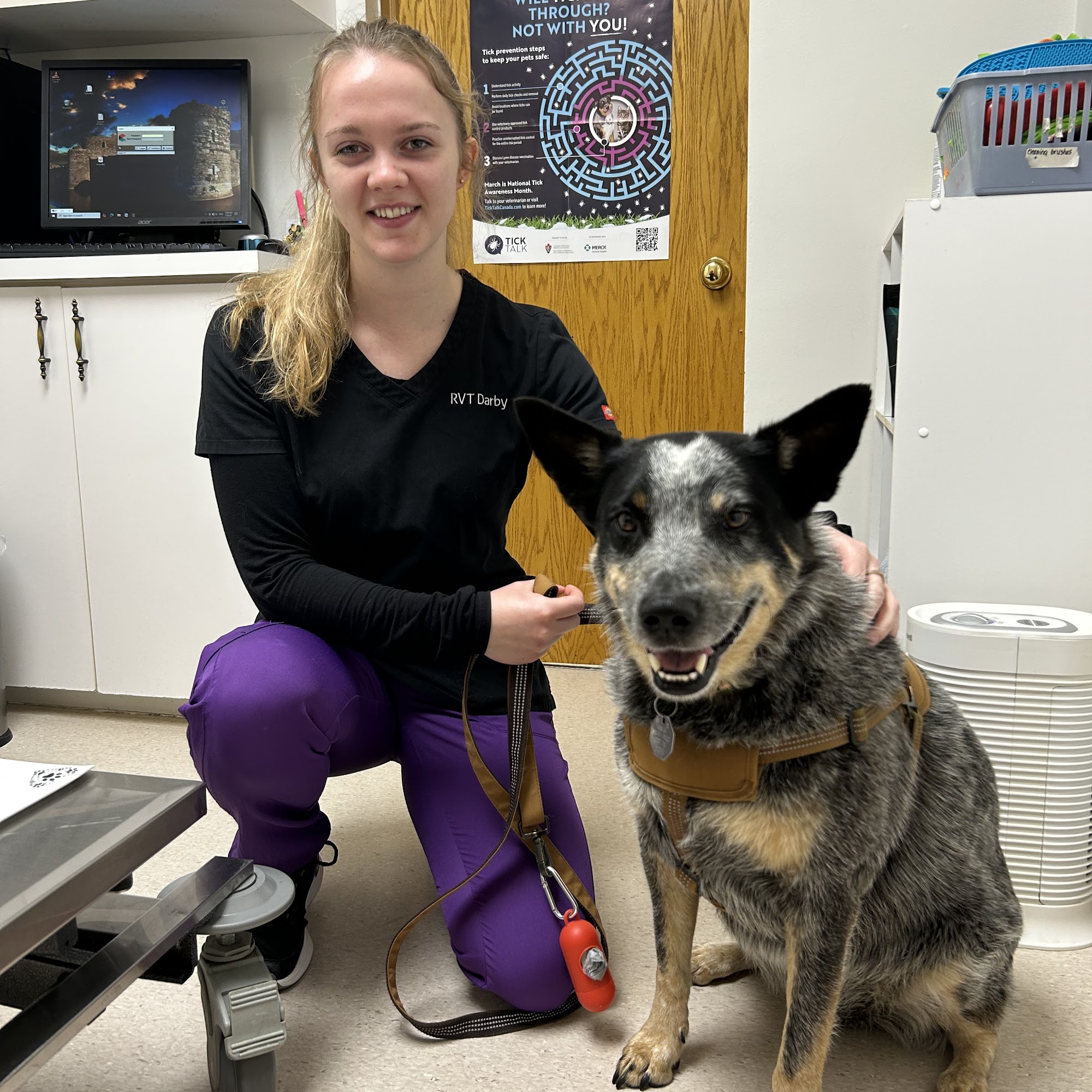 Mullen Small Animal Clinic Walkerton