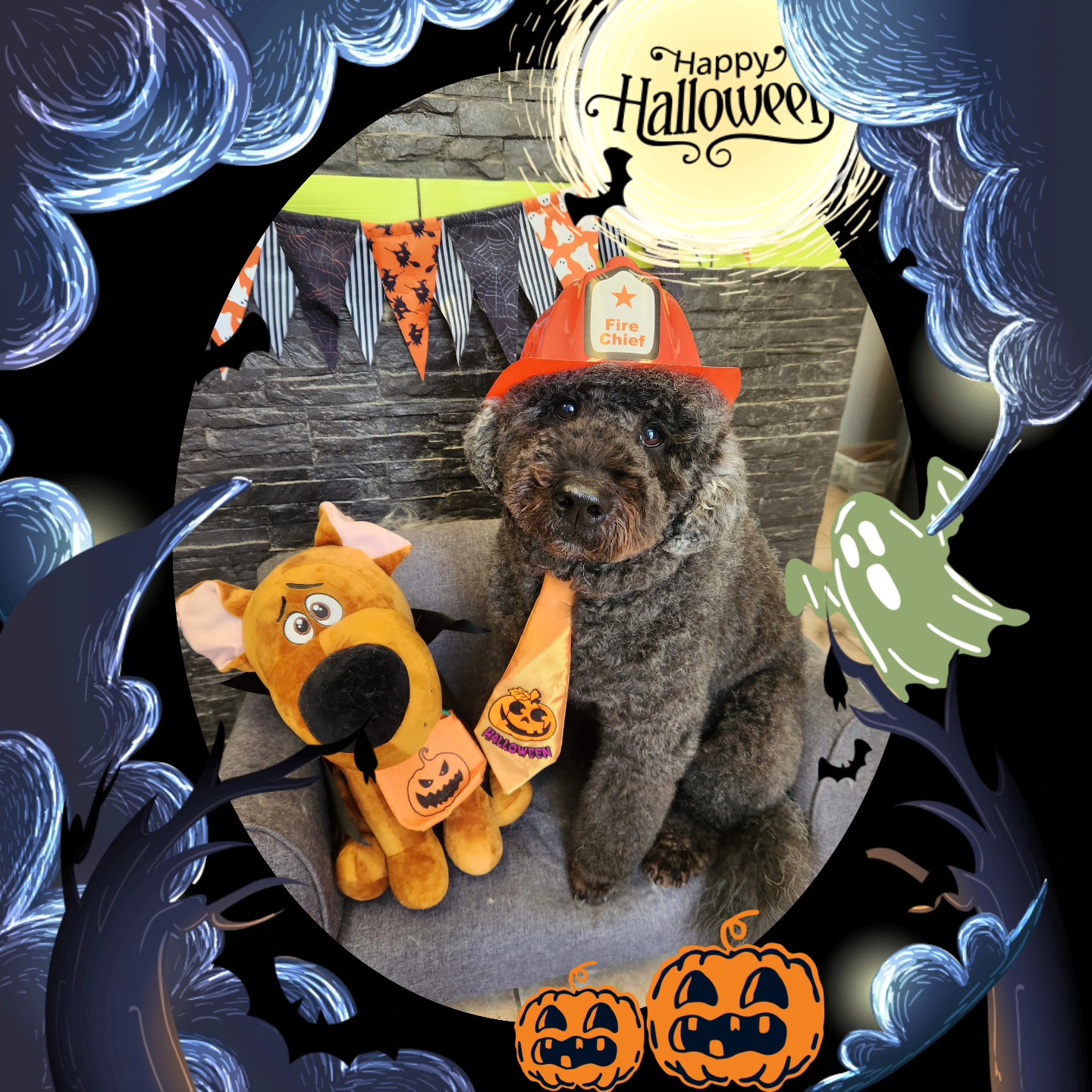 Central Bark Pet Grooming Salon Waterloo