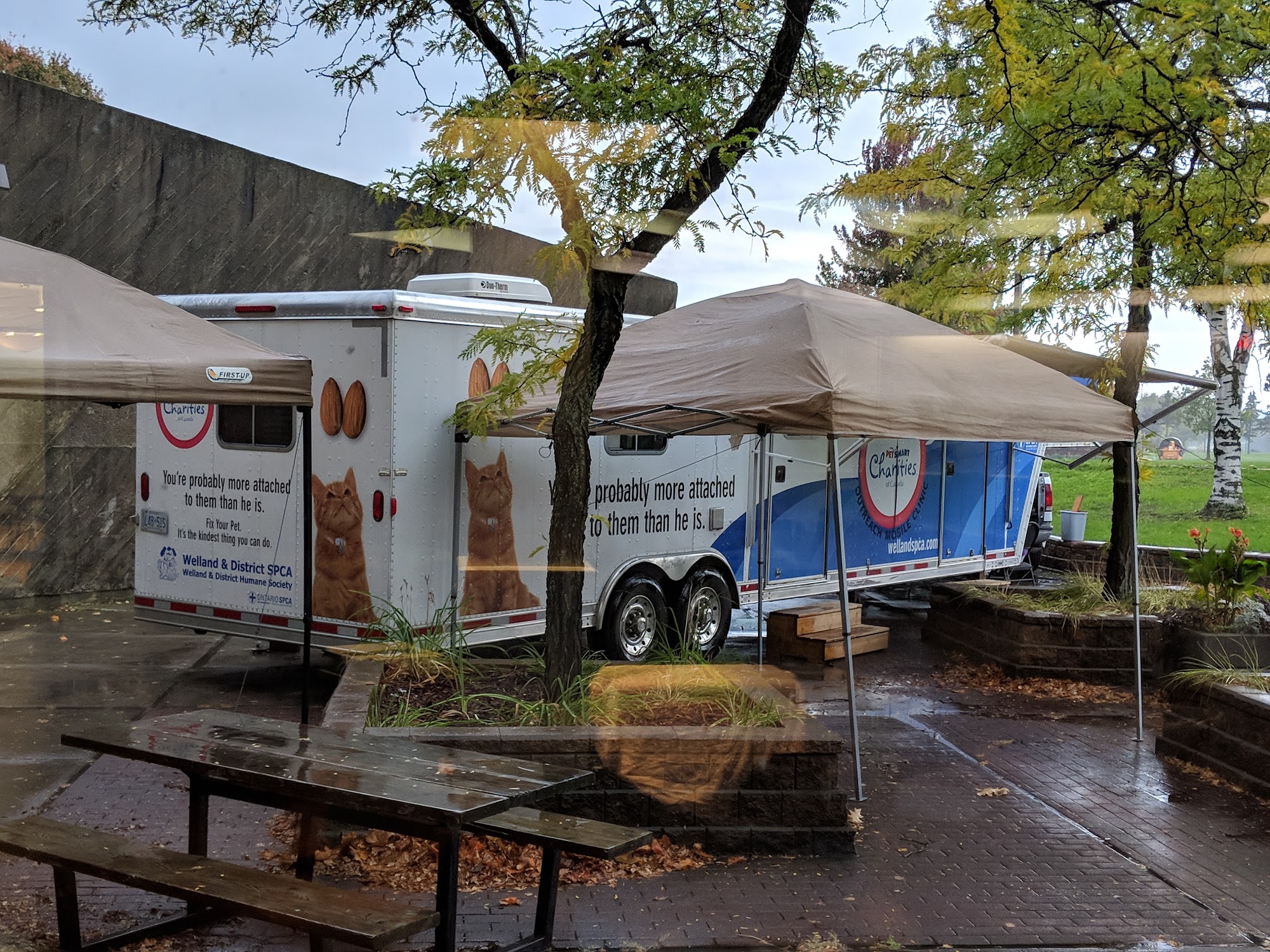 Niagara SPCA - Welland location Welland