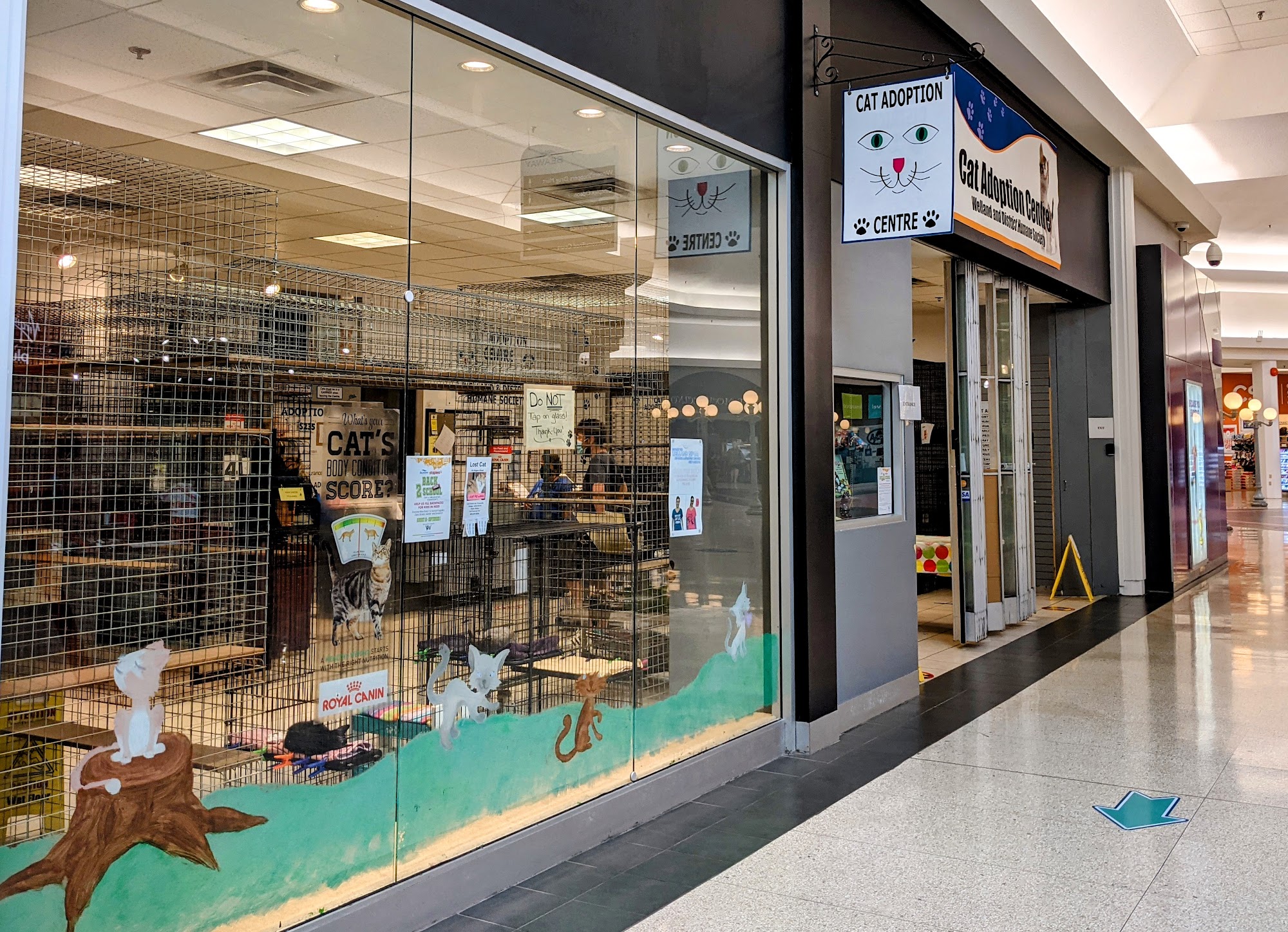 Niagara SPCA Cat Adoption Ctr Welland