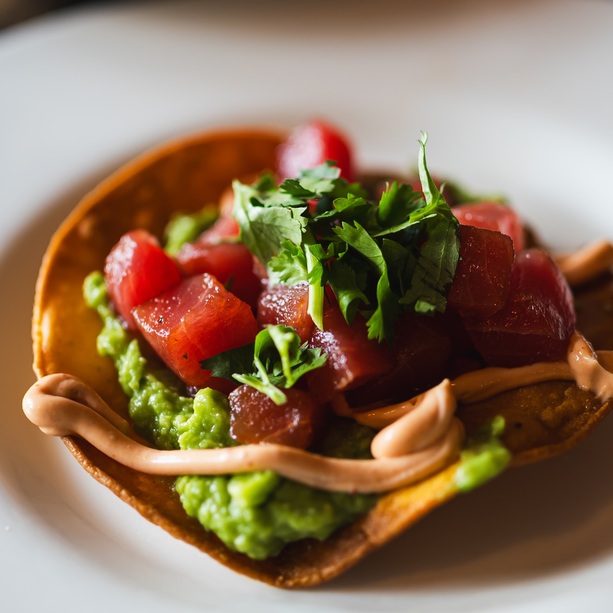 La Condesa Wellington