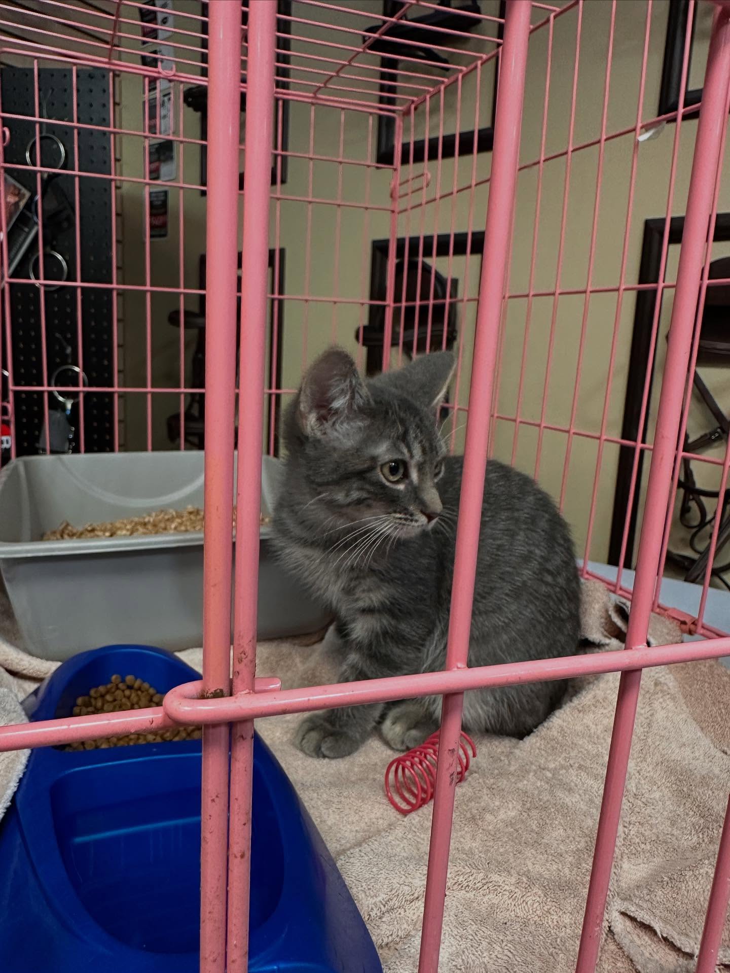 Bark & Fitz Whitby Whitby