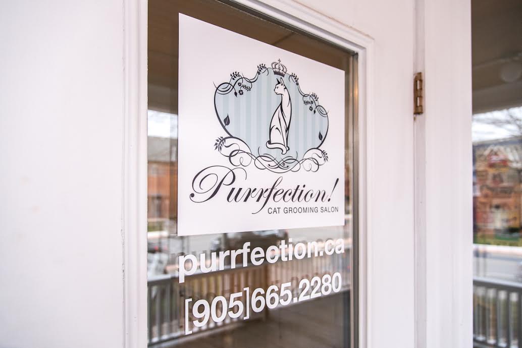 Purrfection Cat Grooming Whitby