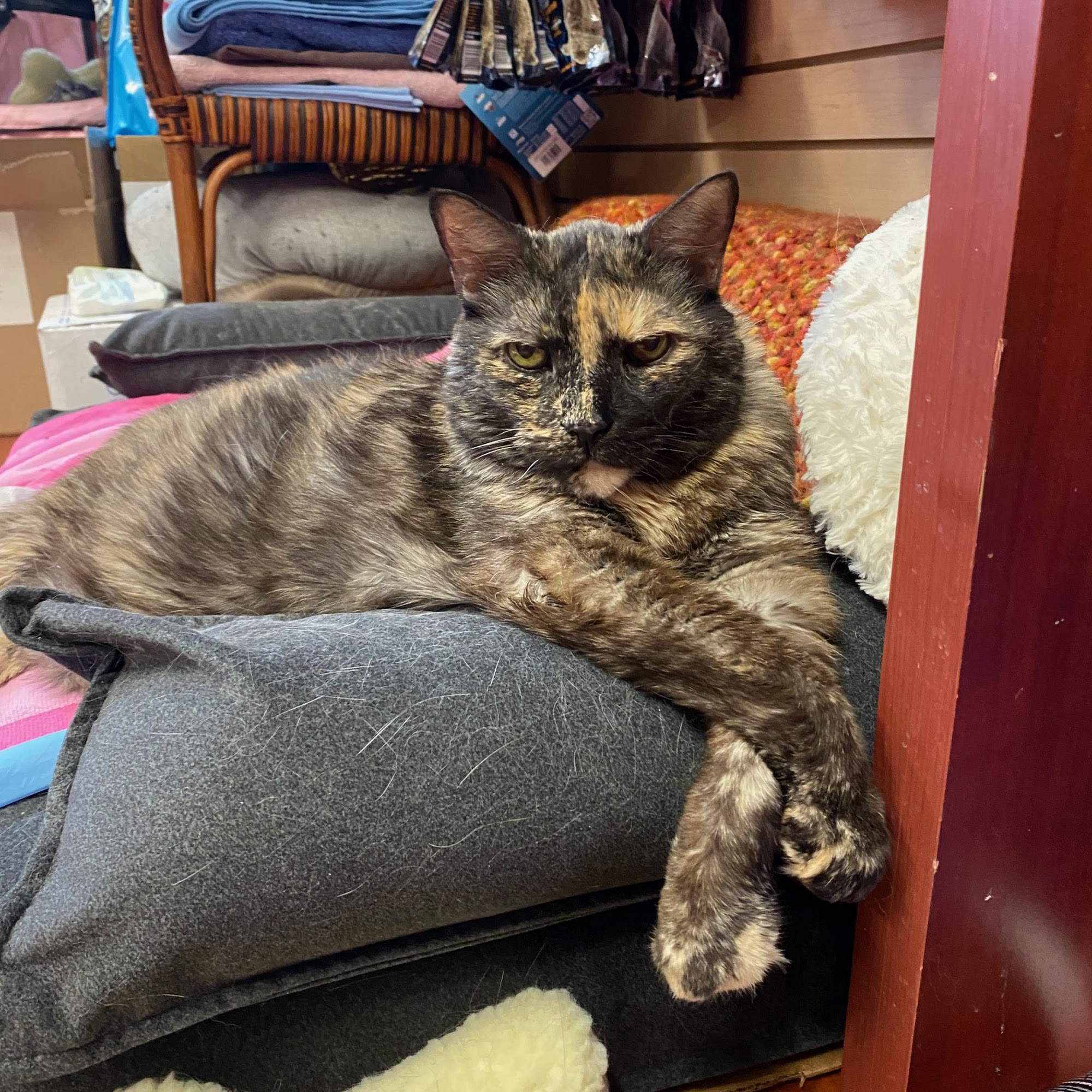 Duke's Pet Foods Whitby