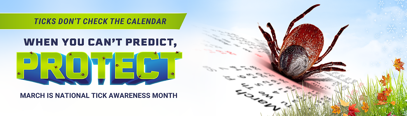 Thickson Road Pet Hospital Whitby