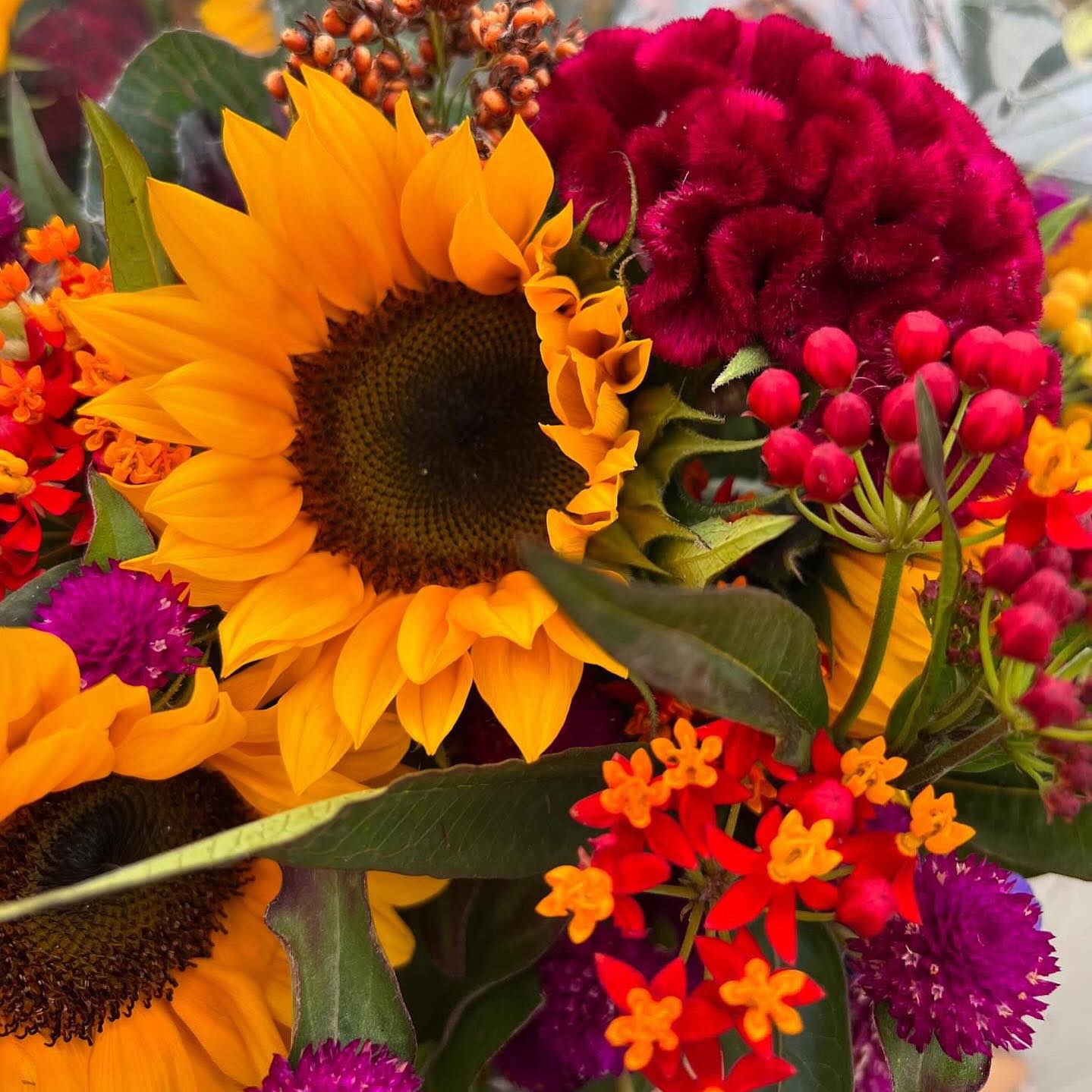 Brooklin Veterinary Hospital Whitby