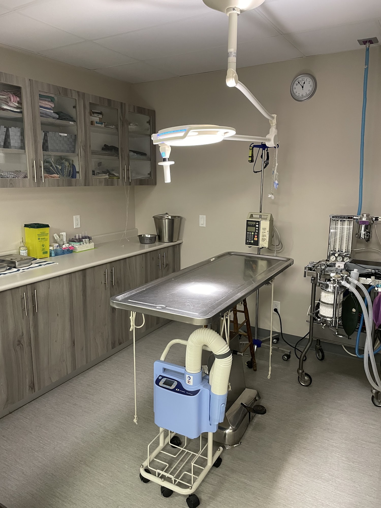 Stouffville Veterinary Clinic Whitchurch-Stouffville