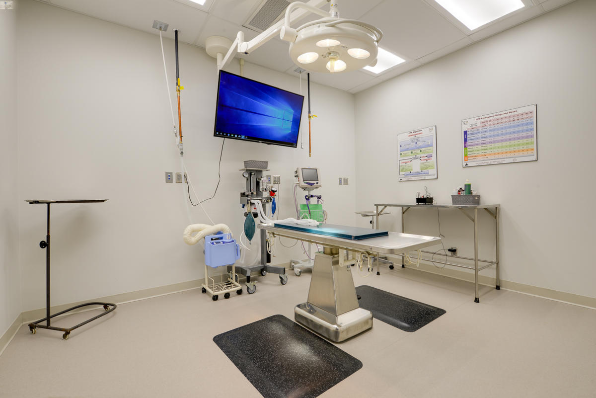 Walker Road Animal Hospital Windsor