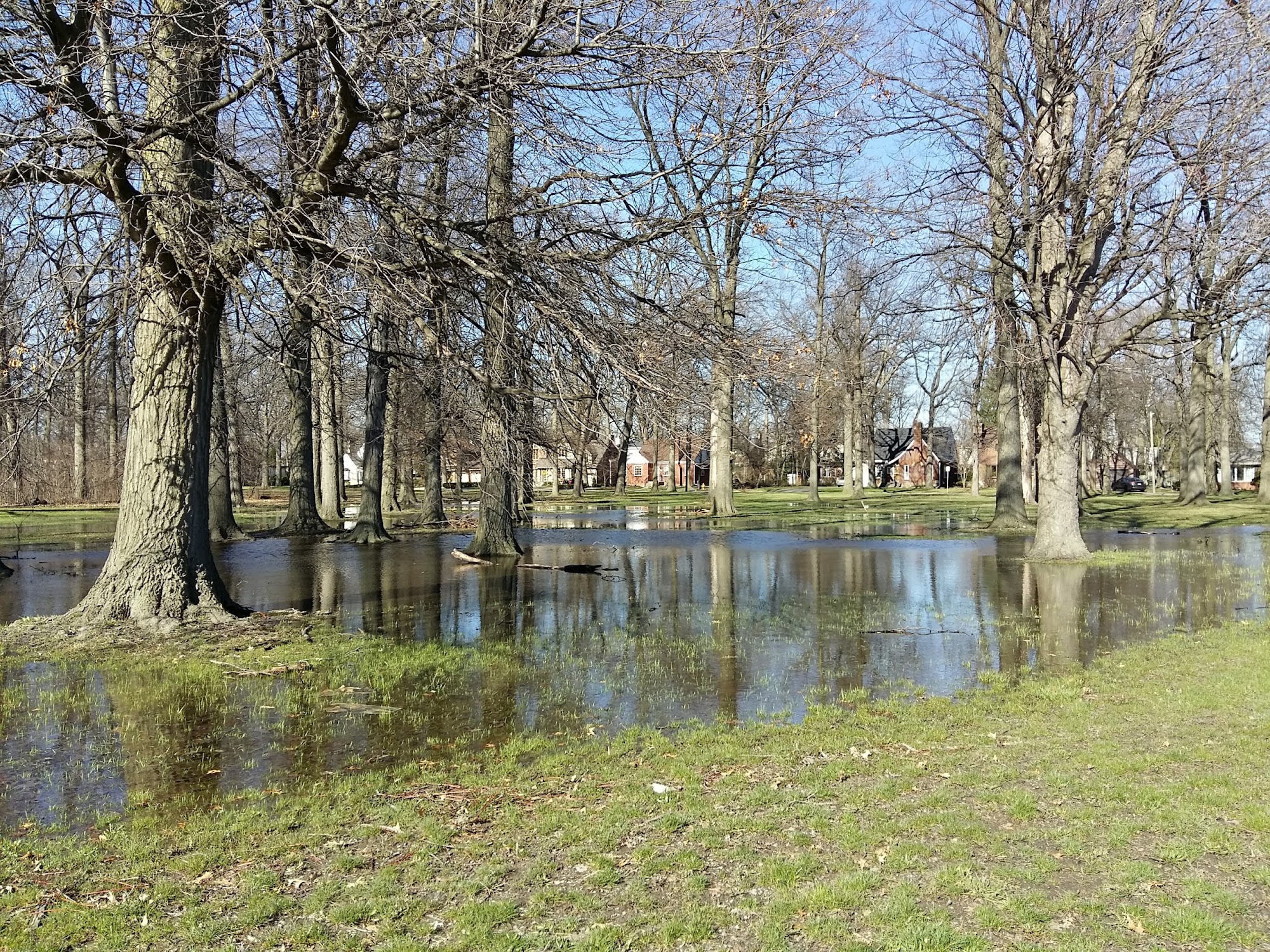 Optimist Memorial Park Windsor