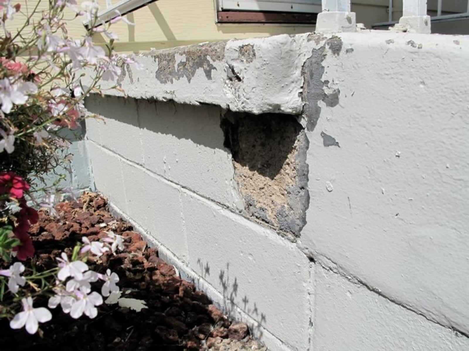 Photo credit: yellowpages.ca