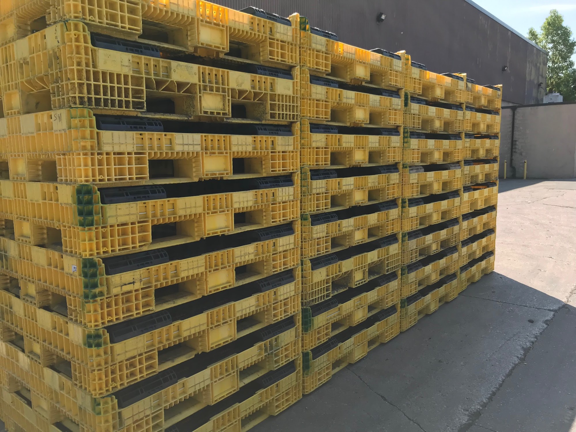 Green Processing Company Inc. Windsor