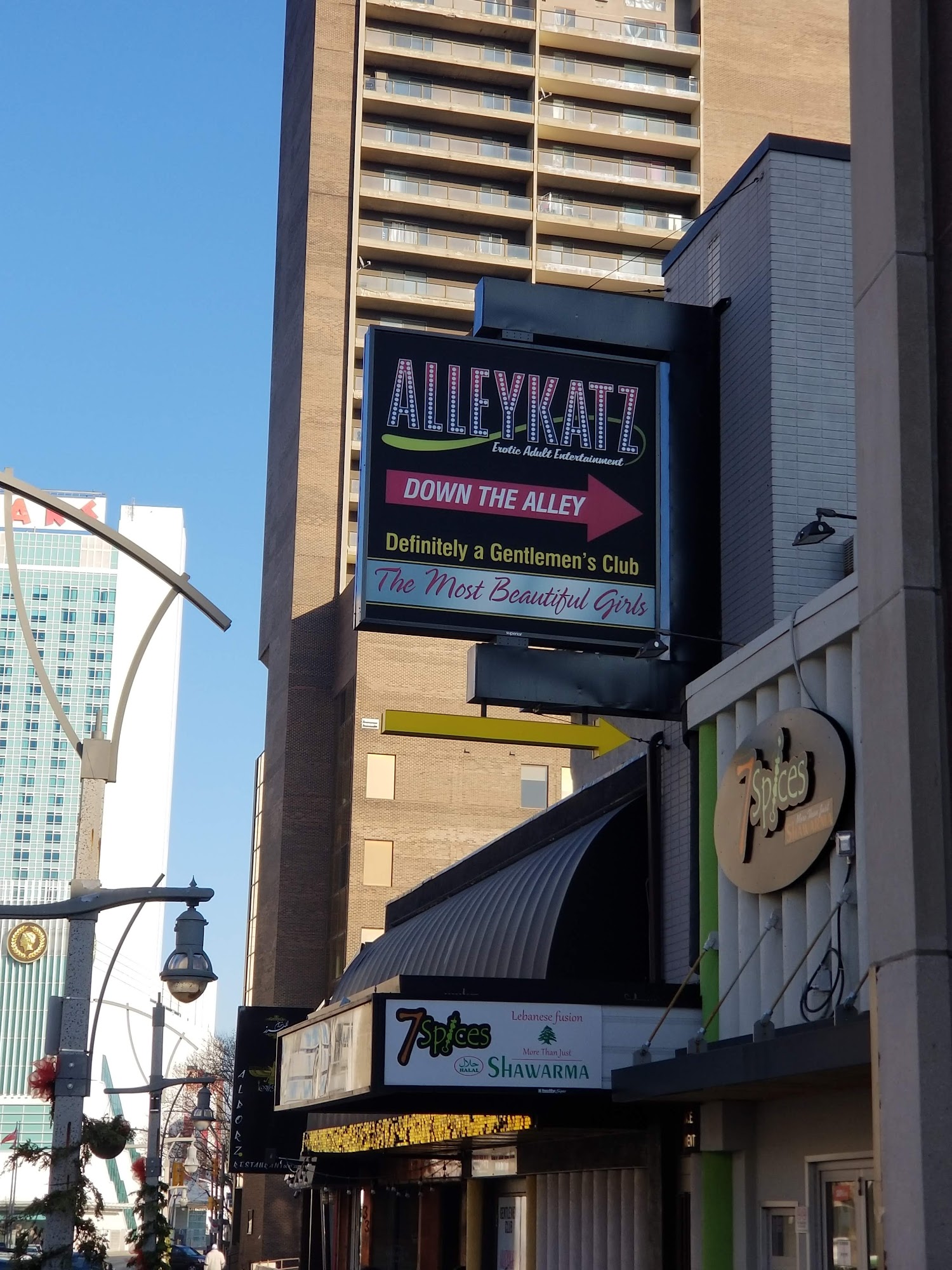 AlleyKatz Windsor