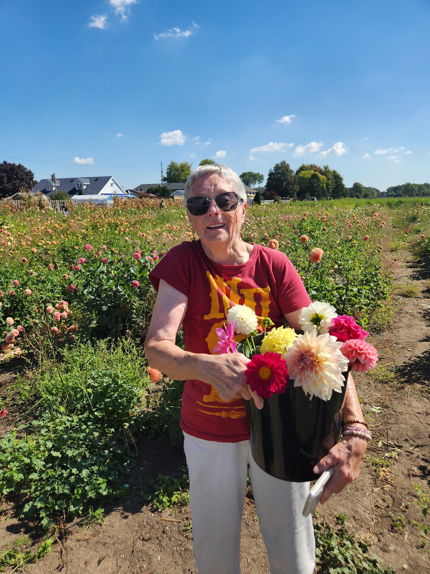 Chappus Farm Windsor