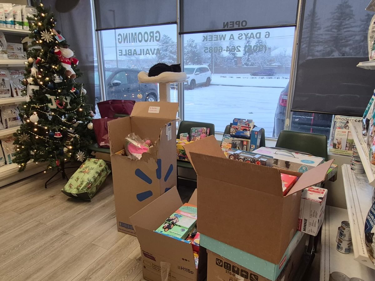 Northview Pet Hospital Woodbridge