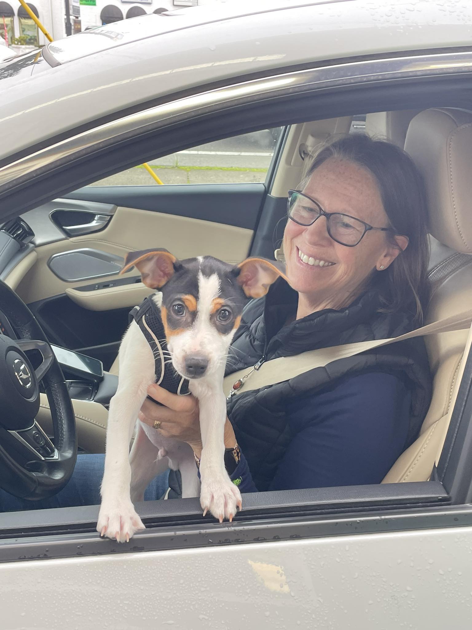 Wild Heart Coffee & Tea Albany