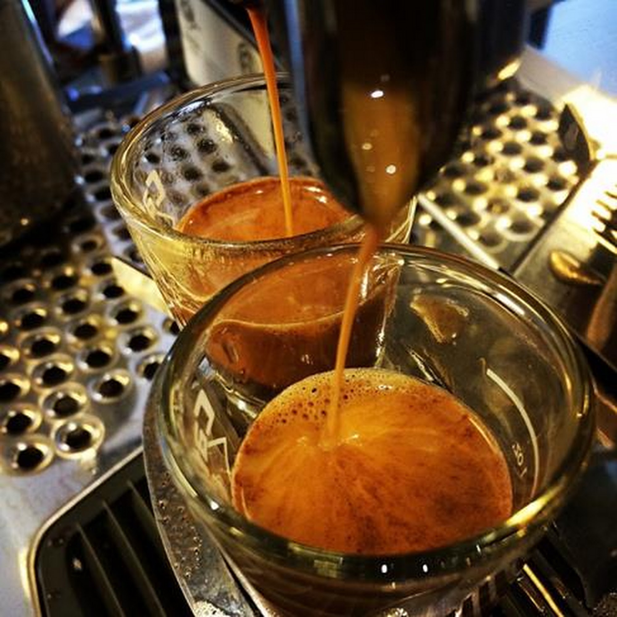 Wild Heart Coffee & Tea Albany