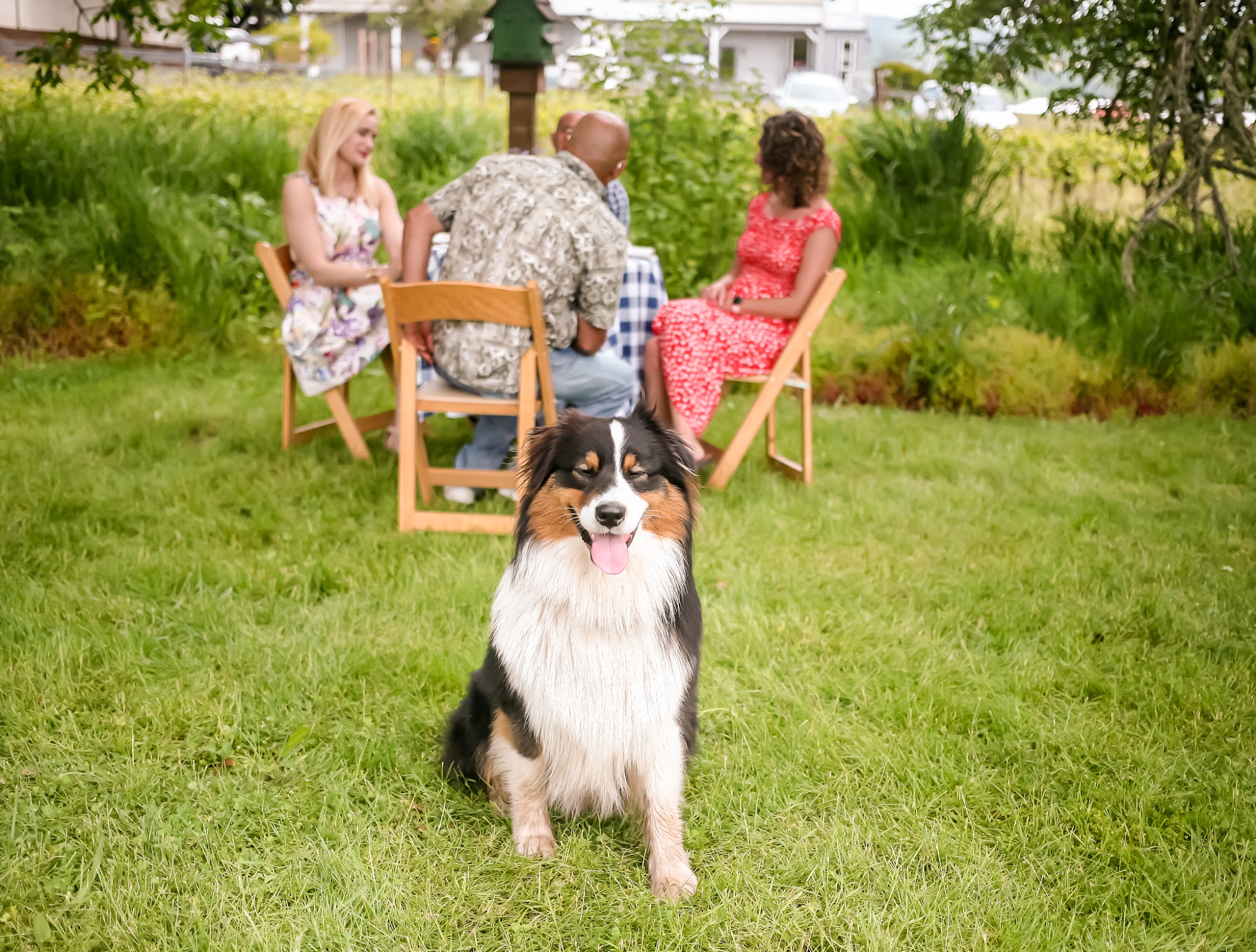 Keeler Estate Vineyard Amity