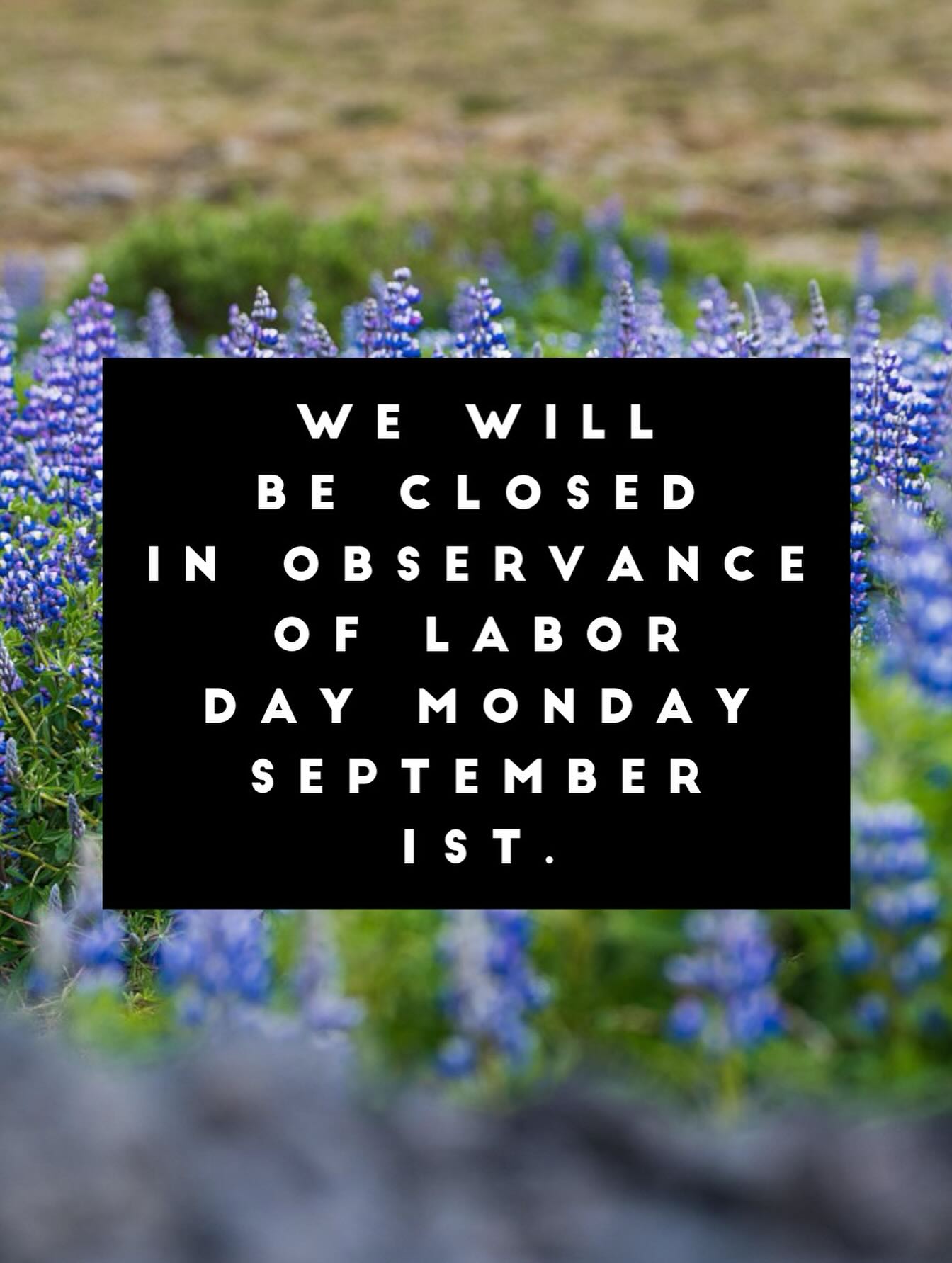 Osteria La Briccola Ashland