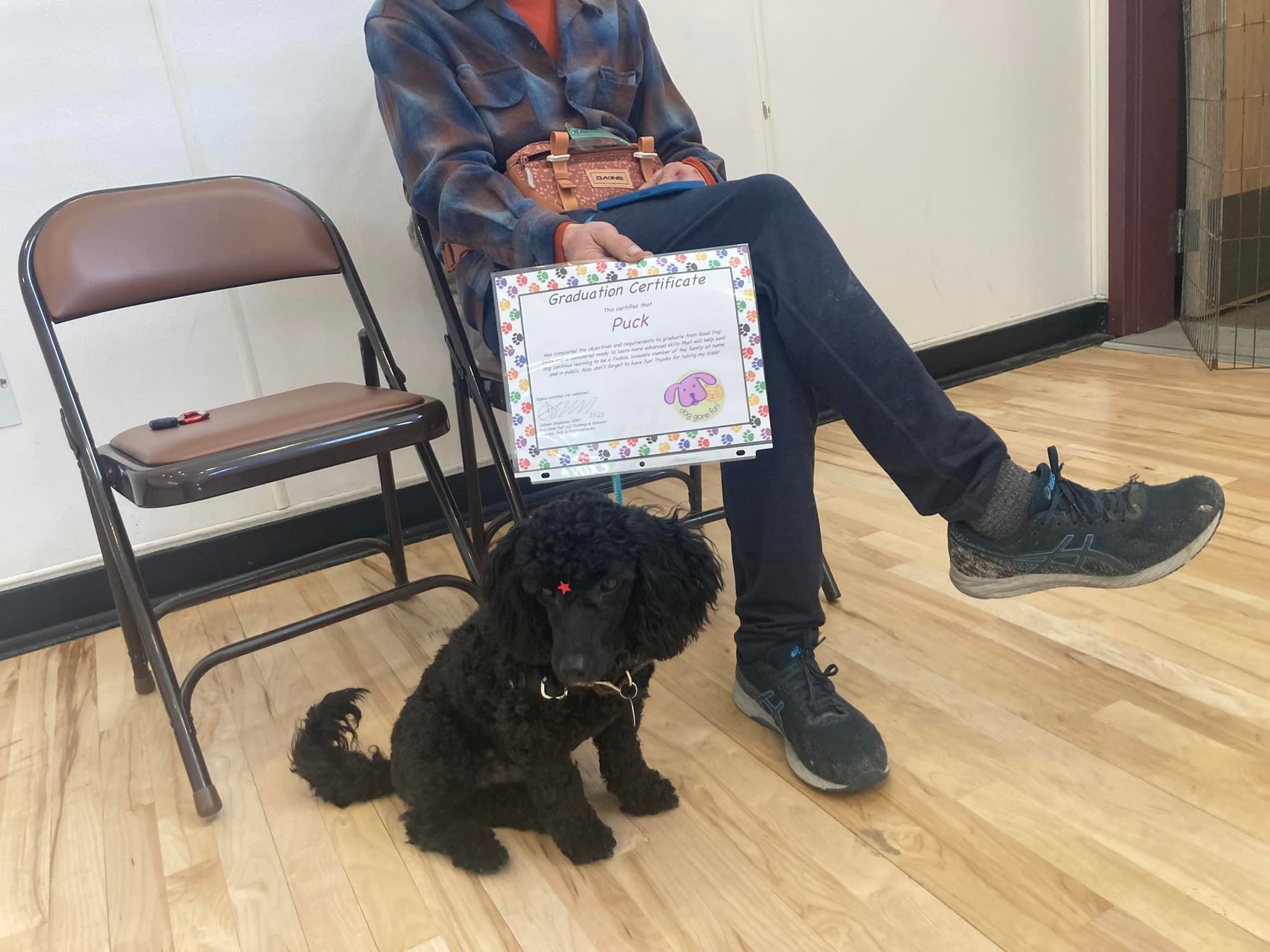 Dog Gone Fun! Training & Behavior Ashland