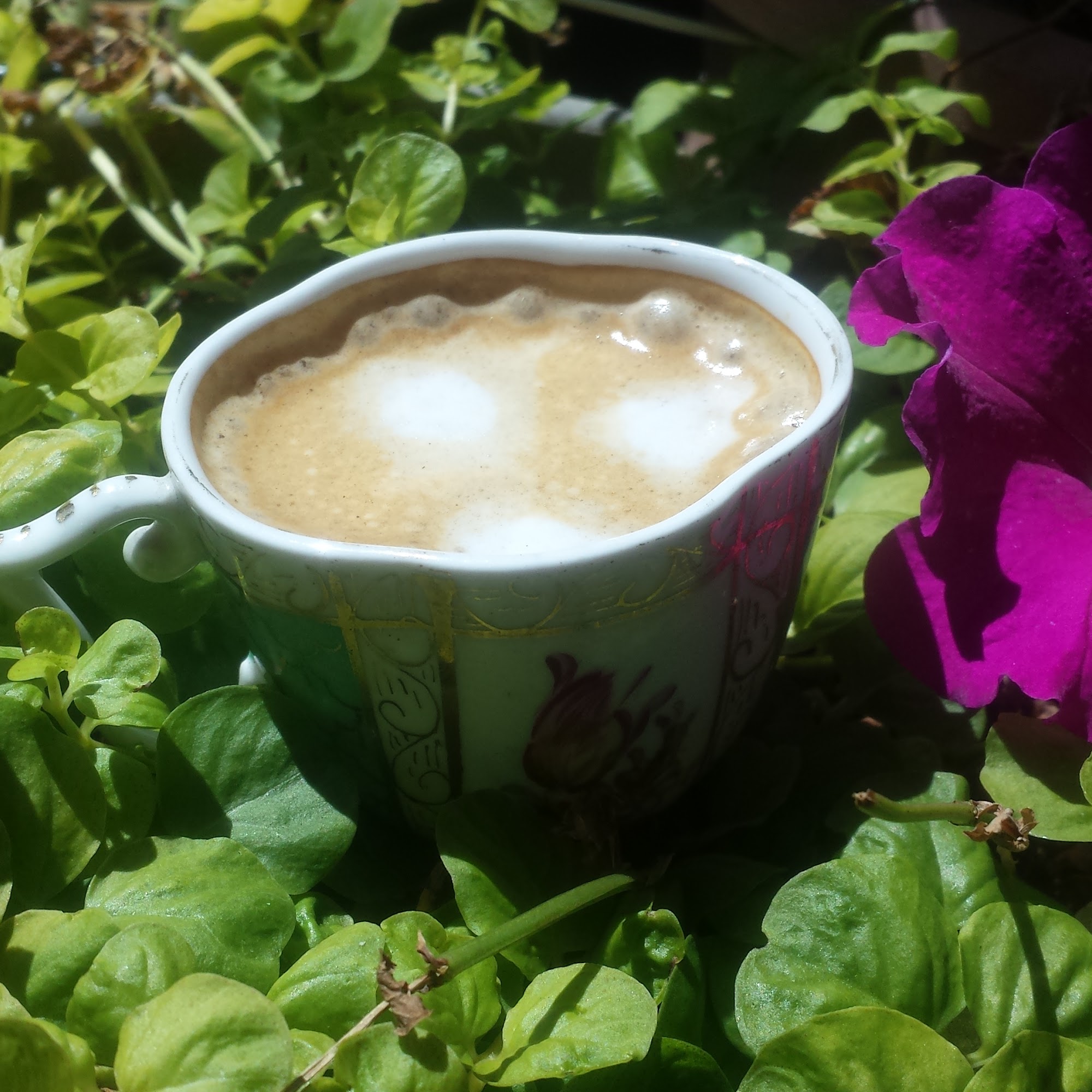 Little Espresso Shop Ashland