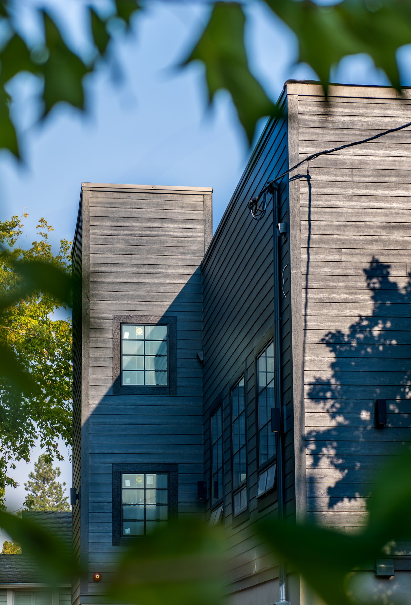 Ashland Wellness Collective 599 E Main St, Ashland Oregon 97520