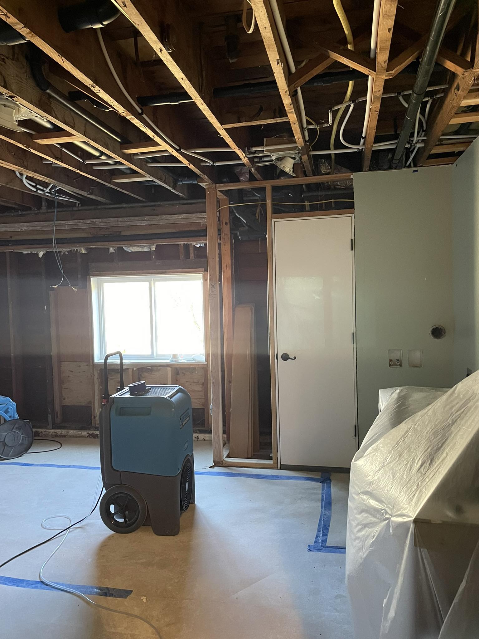 The Salty Dog Salon Astoria