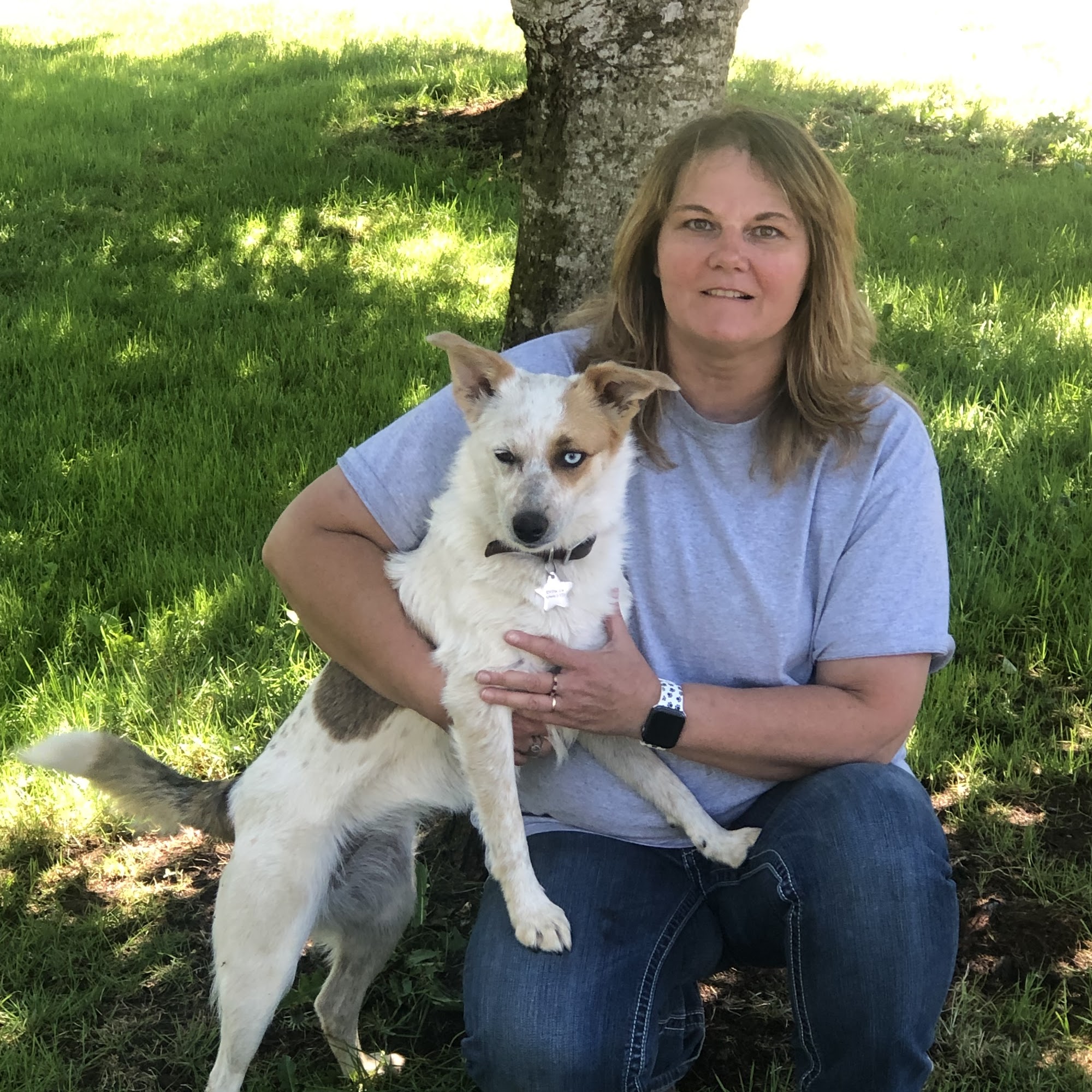 All My Dogs Dog Grooming LLC Aumsville