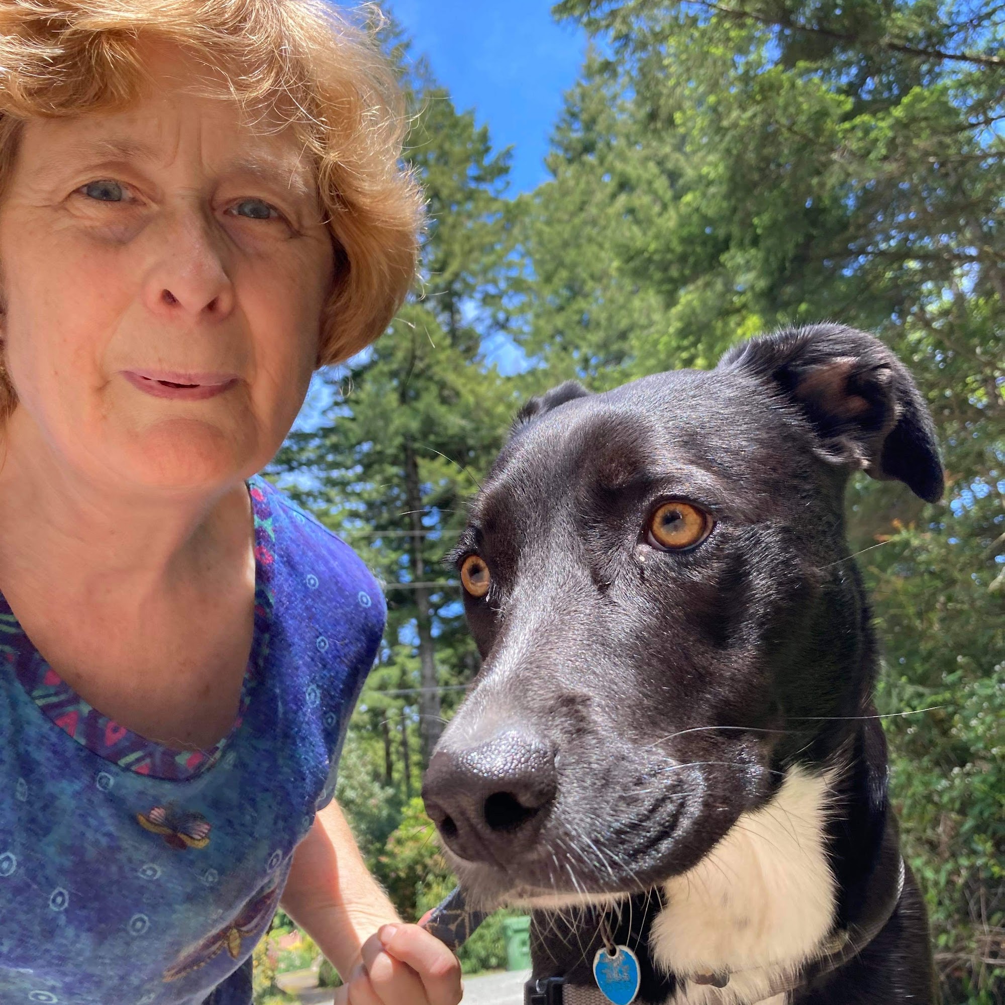 Mary's Pet Sitting Bandon