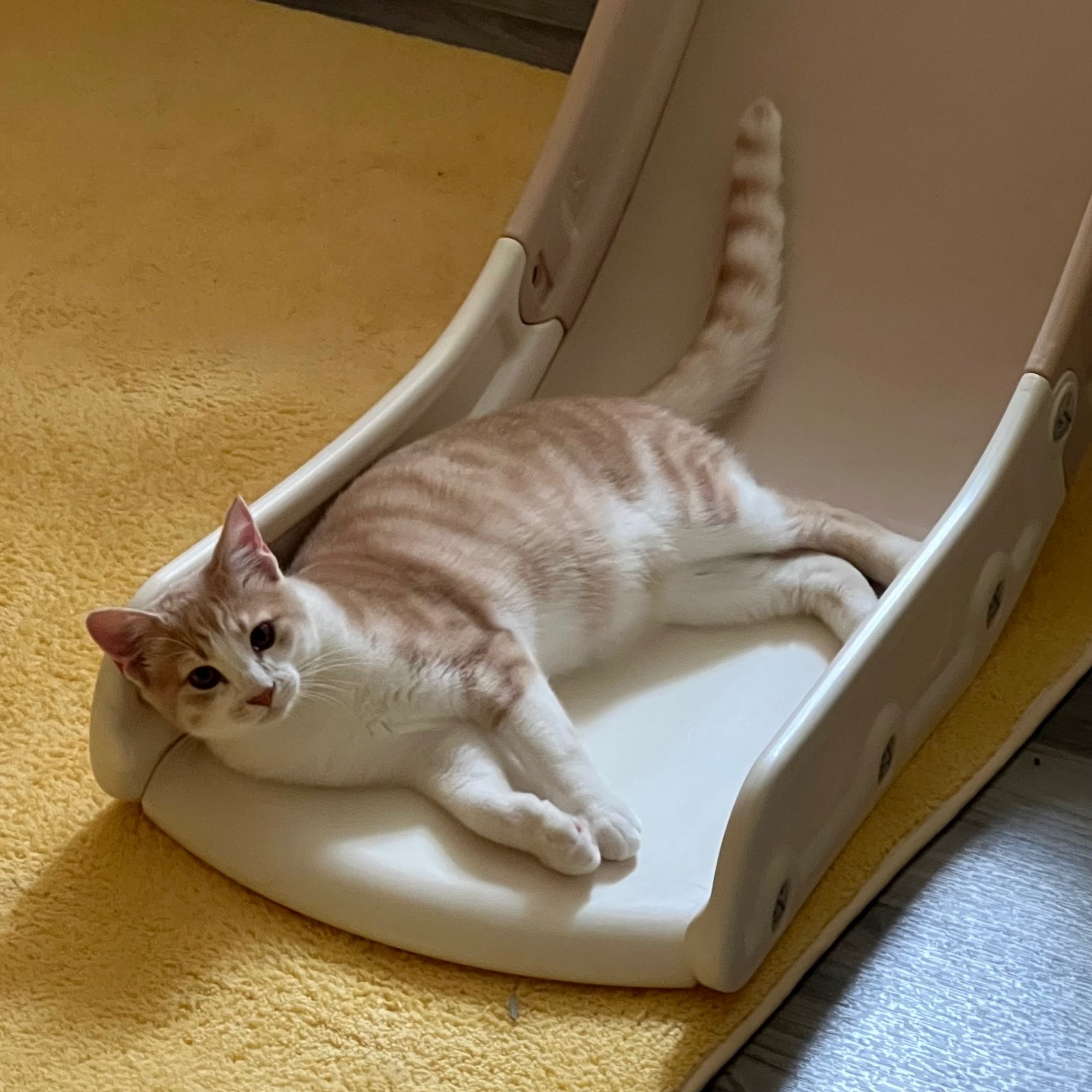 Best Care Animal Hospital Beaverton