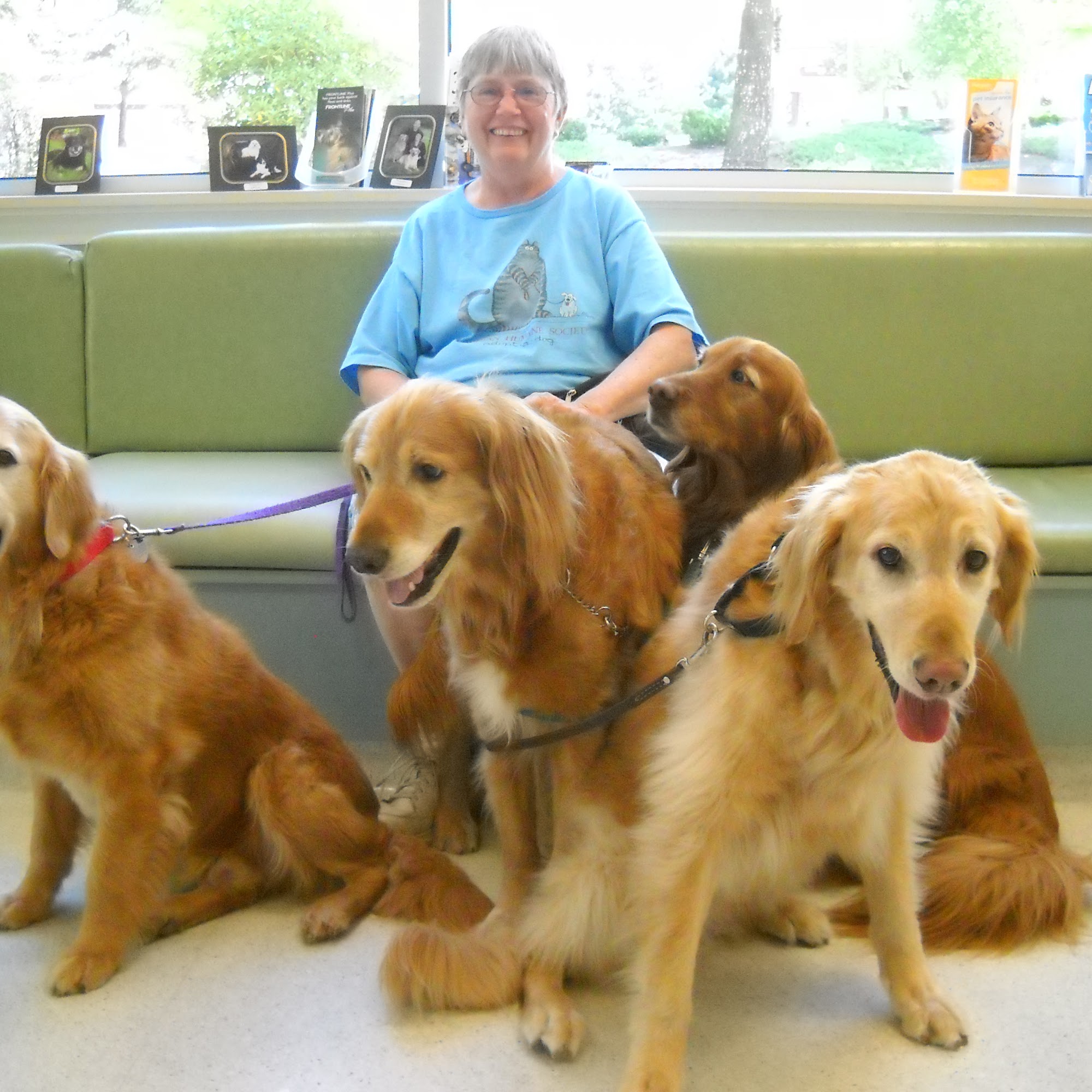 Canyon Pet Hospital Beaverton