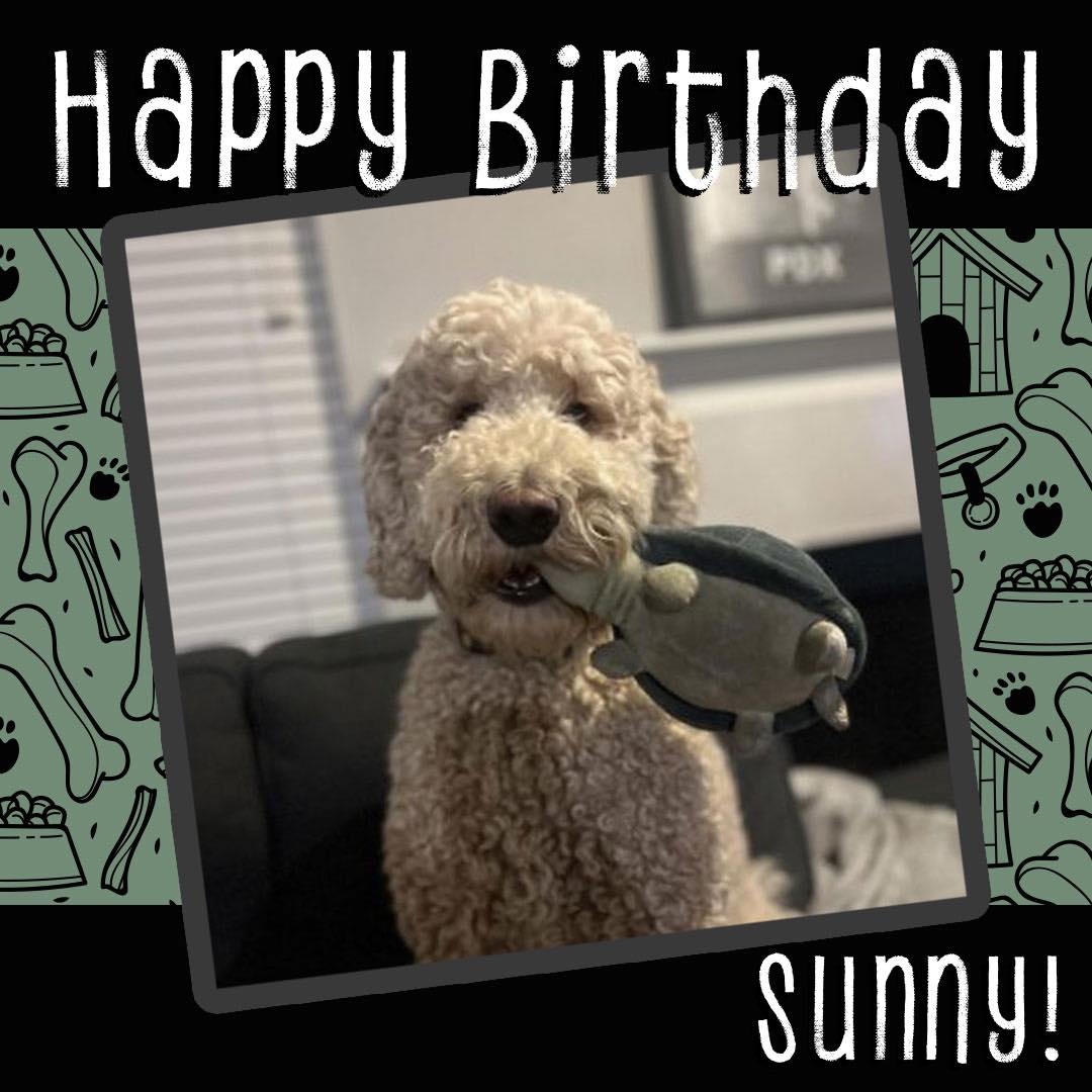 Noah's Arf Beaverton