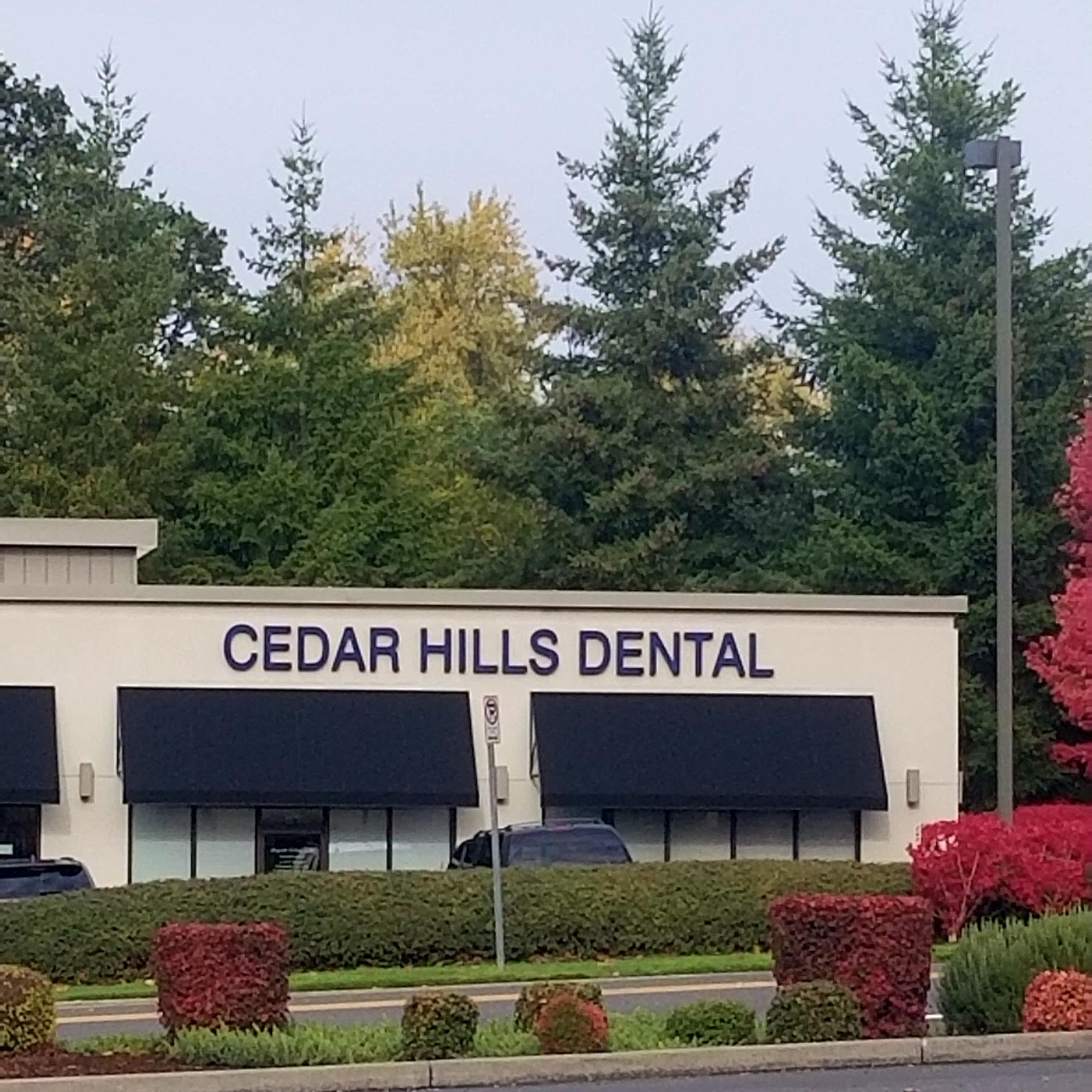 Cedar Hills Dental 12745 SW Walker Rd #400, Beaverton Oregon 97005