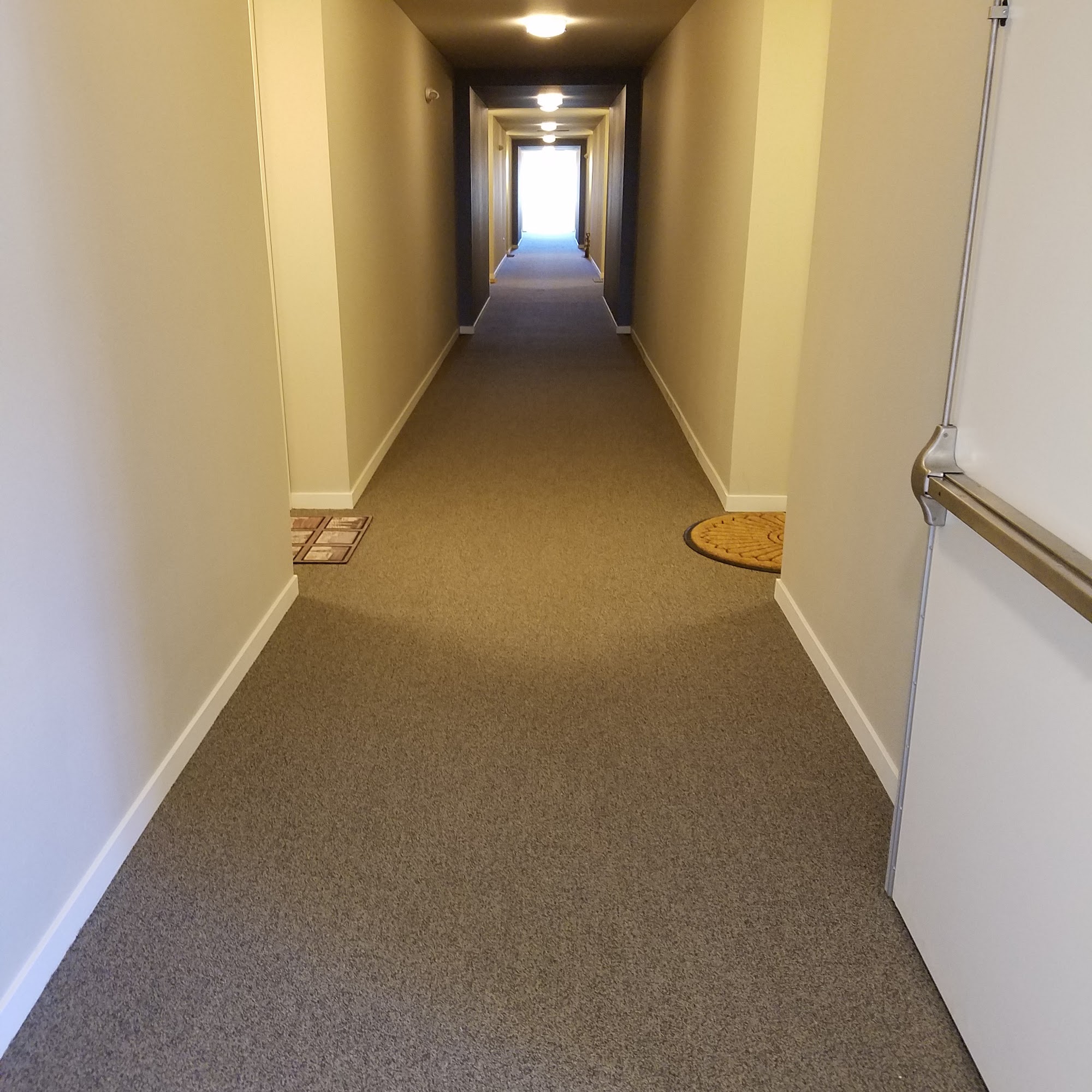 Exceptional Carpet Care