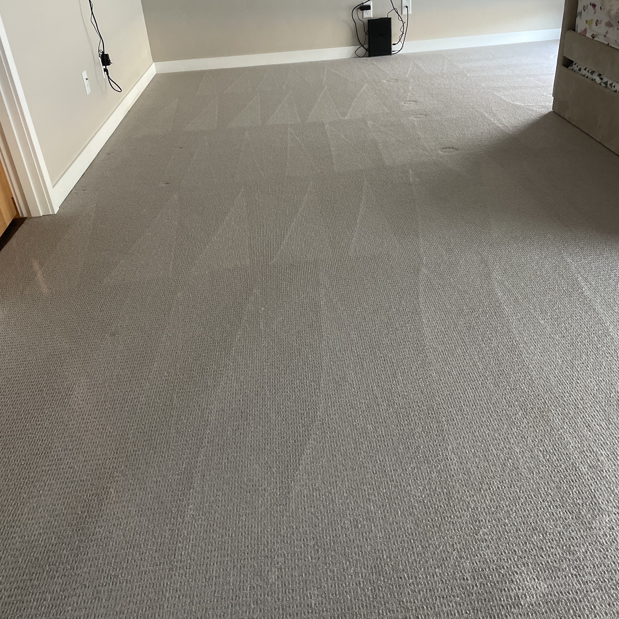 Exceptional Carpet Care