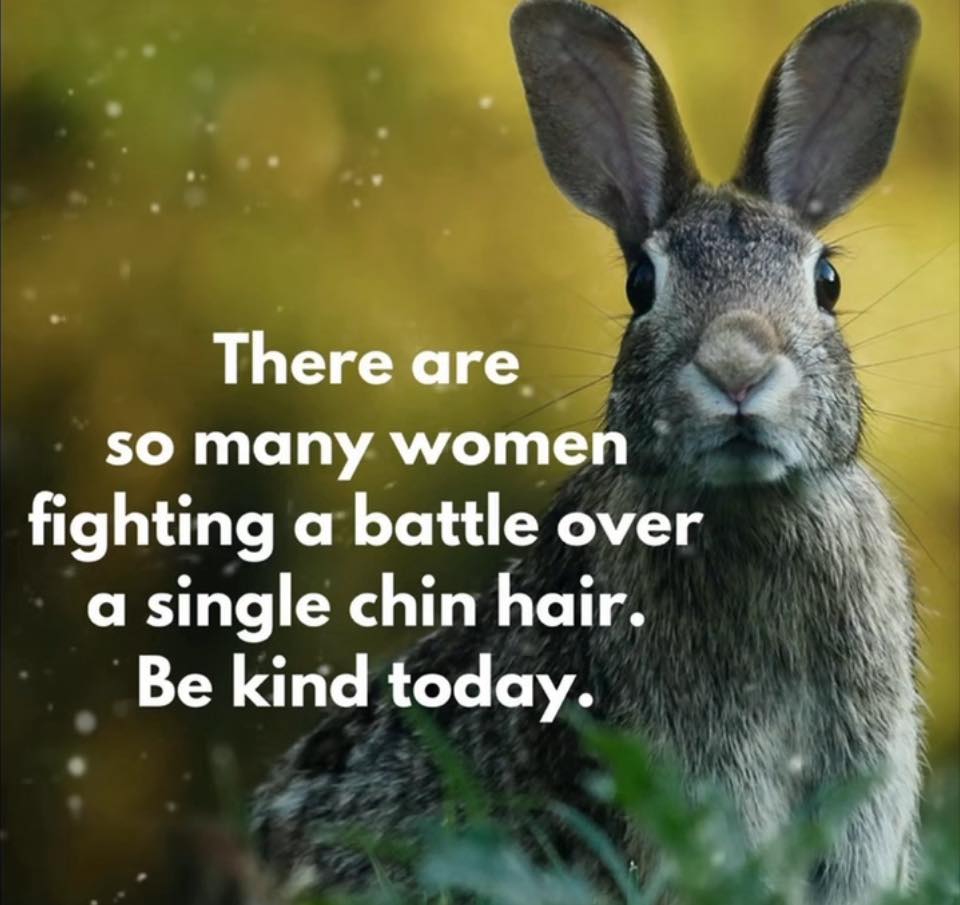 Simplicity, skin by Muna