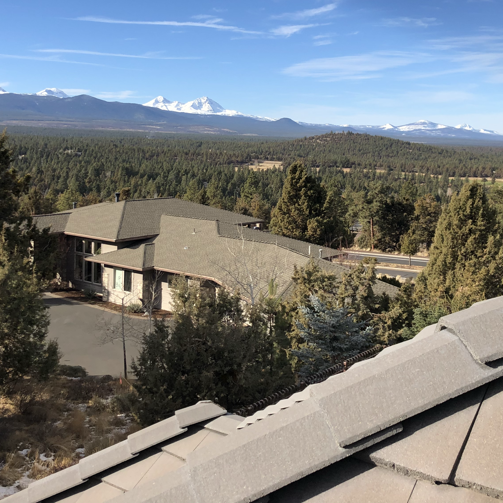 More Roof Life