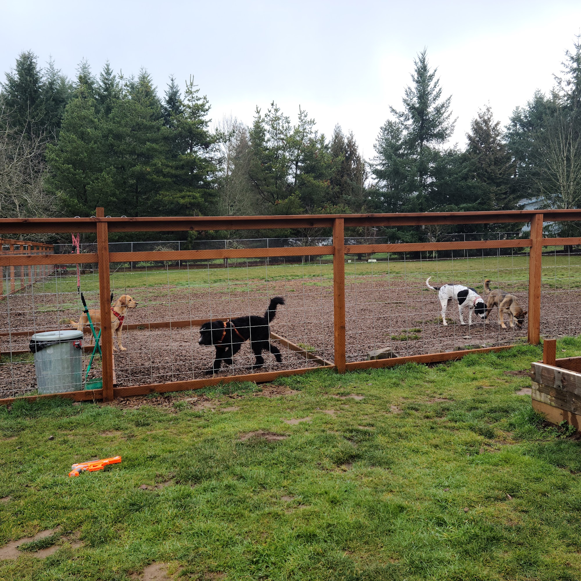 Paws on Gresham Boring