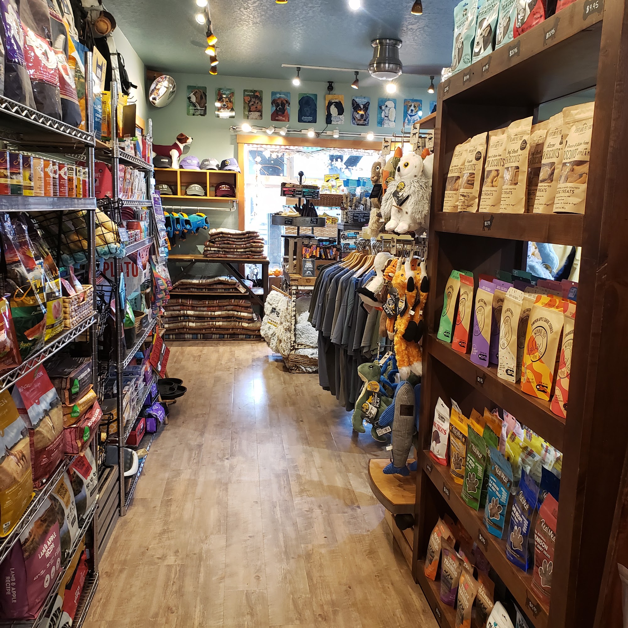 Four Paws on the Beach Cannon Beach