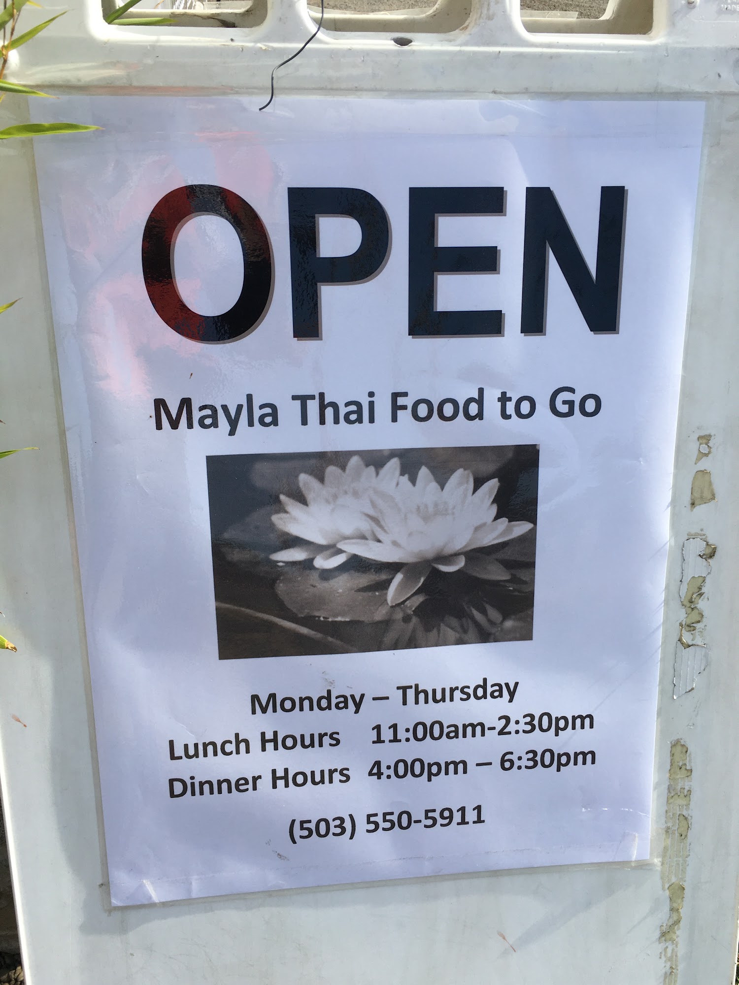Mayla Thai Carlton
