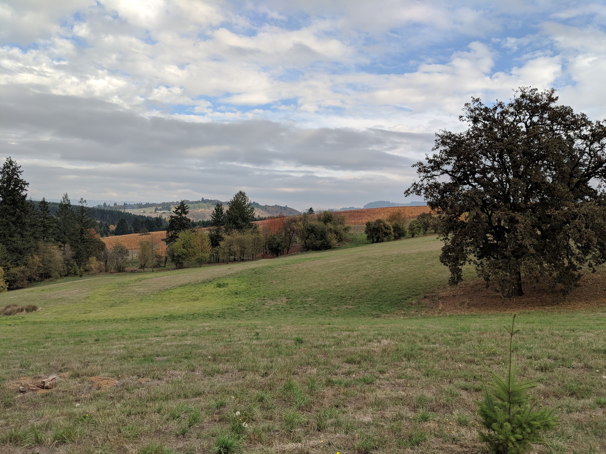 Soter Vineyards Tasting Room, by reservation Menu