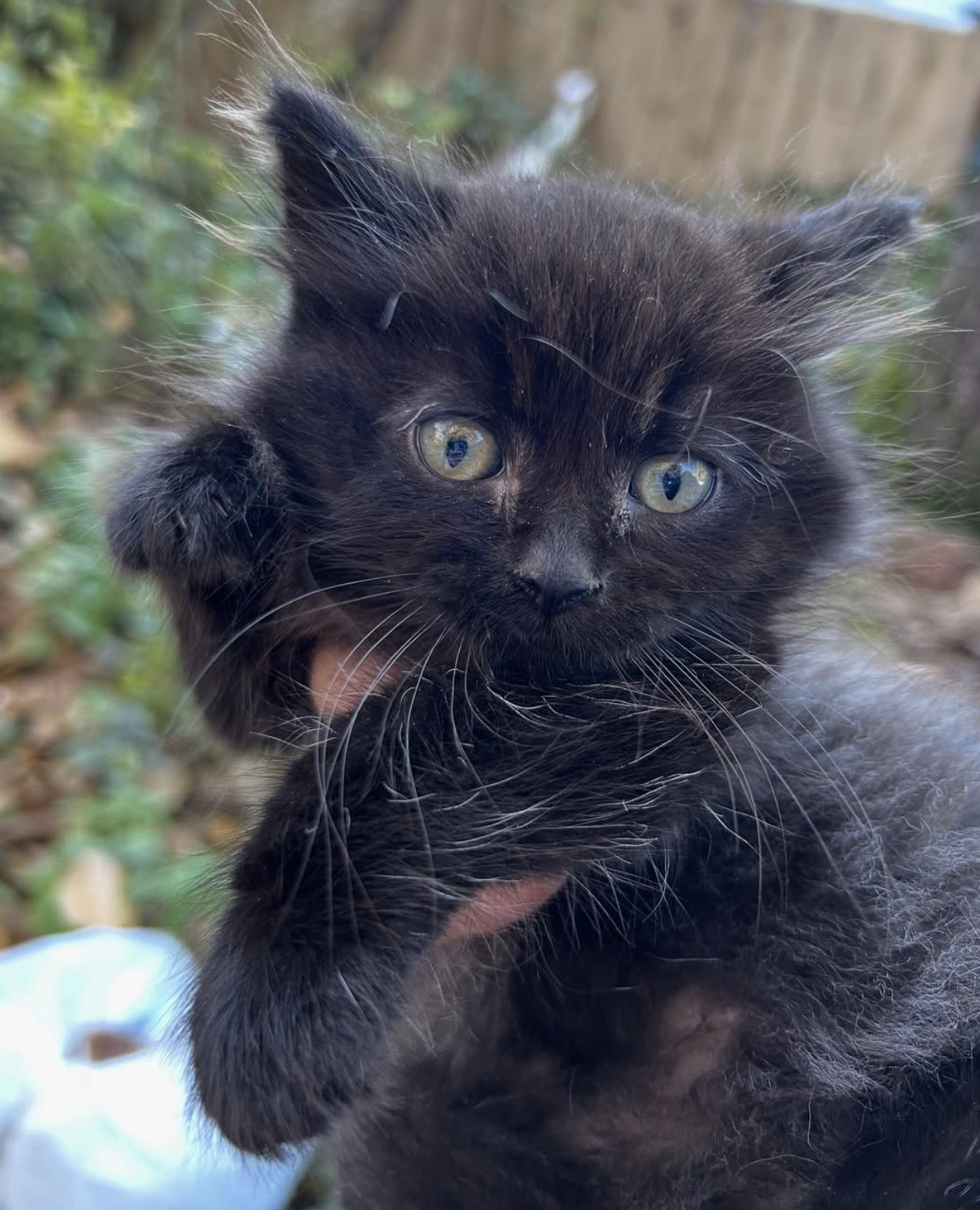 Thunder Island Brewing Co Cascade Locks