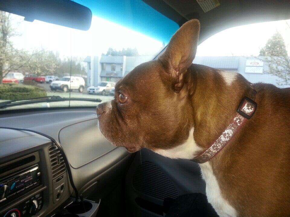 Photo credit: nextdoor