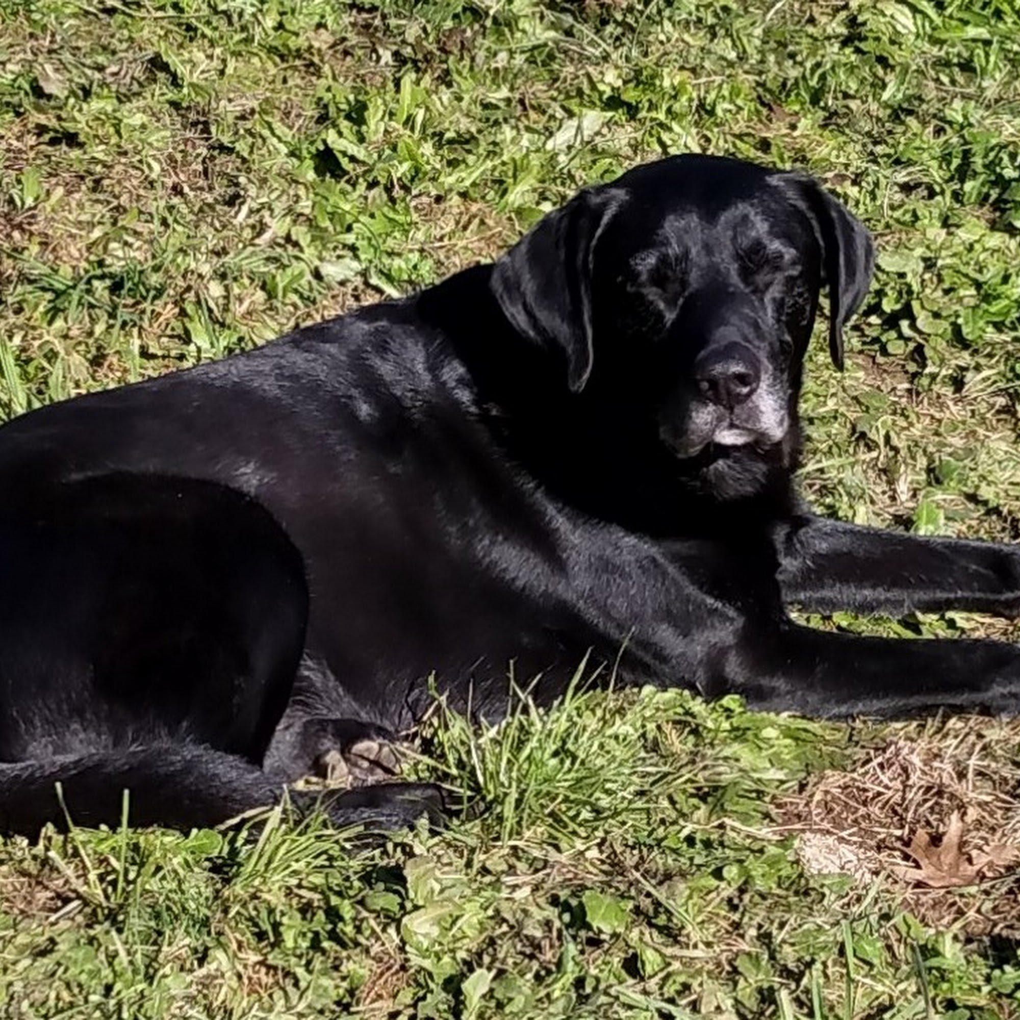 Coos County Animal Control Office Coos Bay