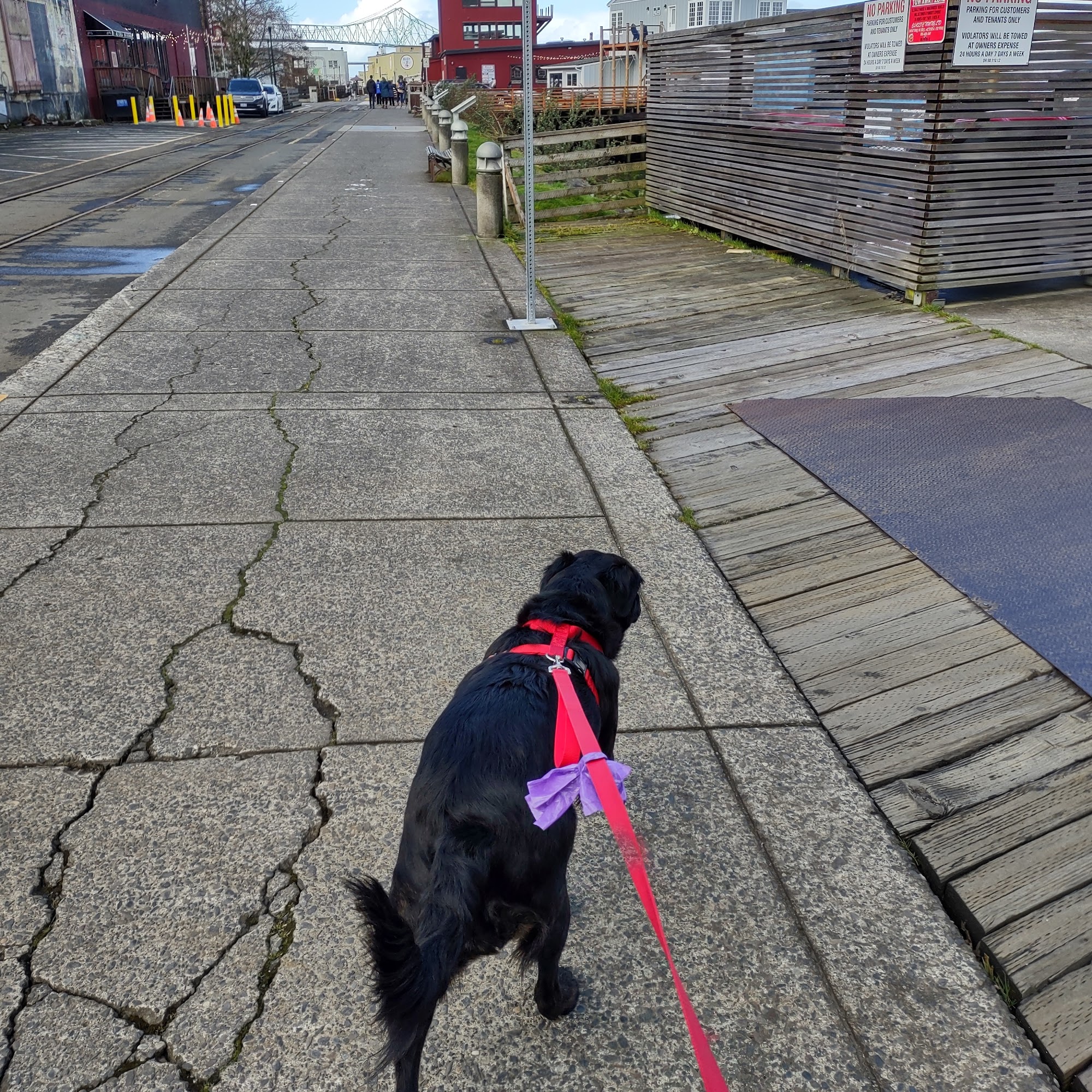 Cottage Grove Veterinary Clinic Cottage Grove