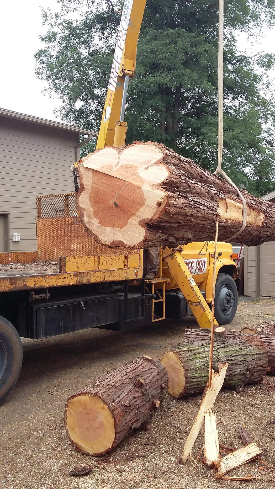 Photo credit: nextdoor