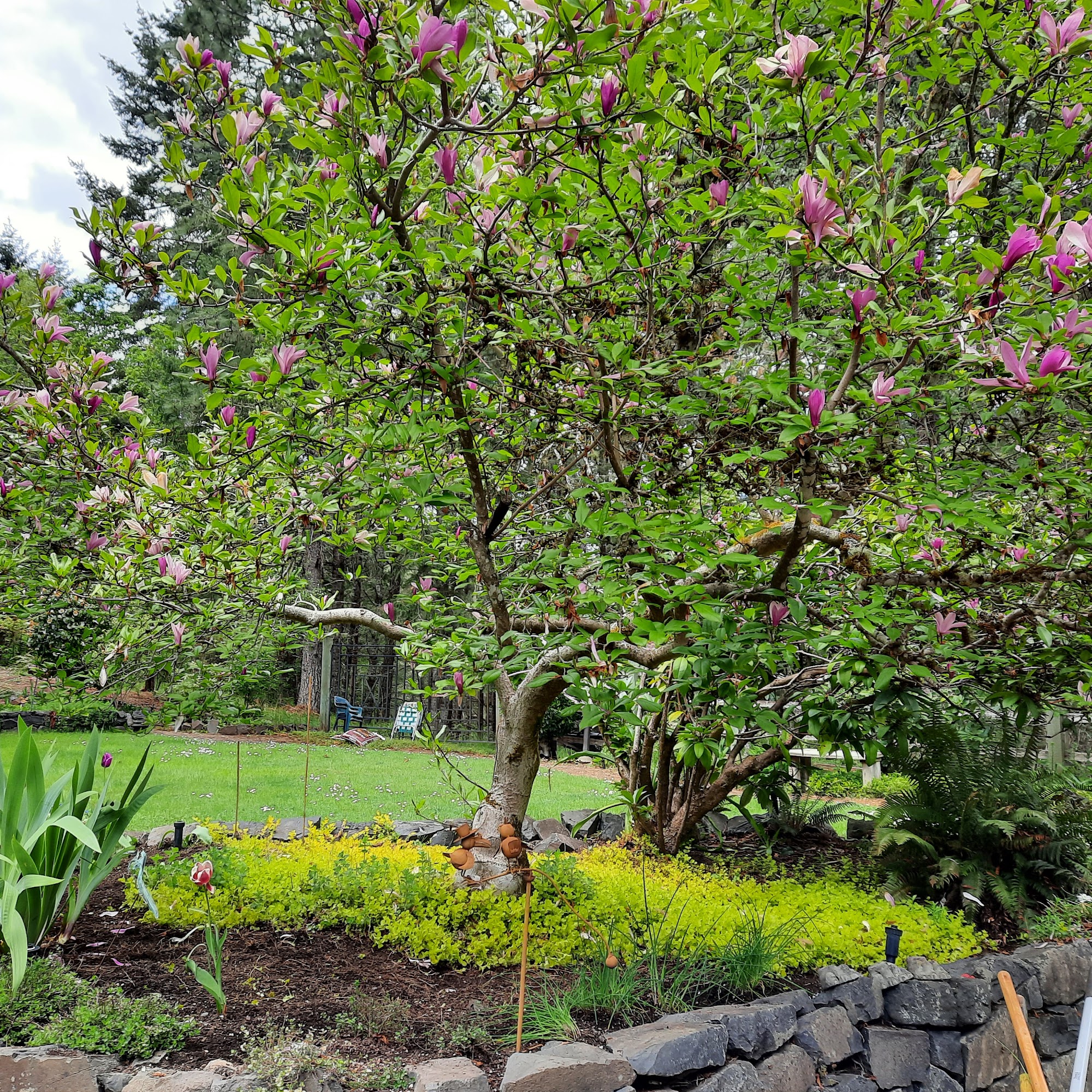 R&M Landscapes & Designs